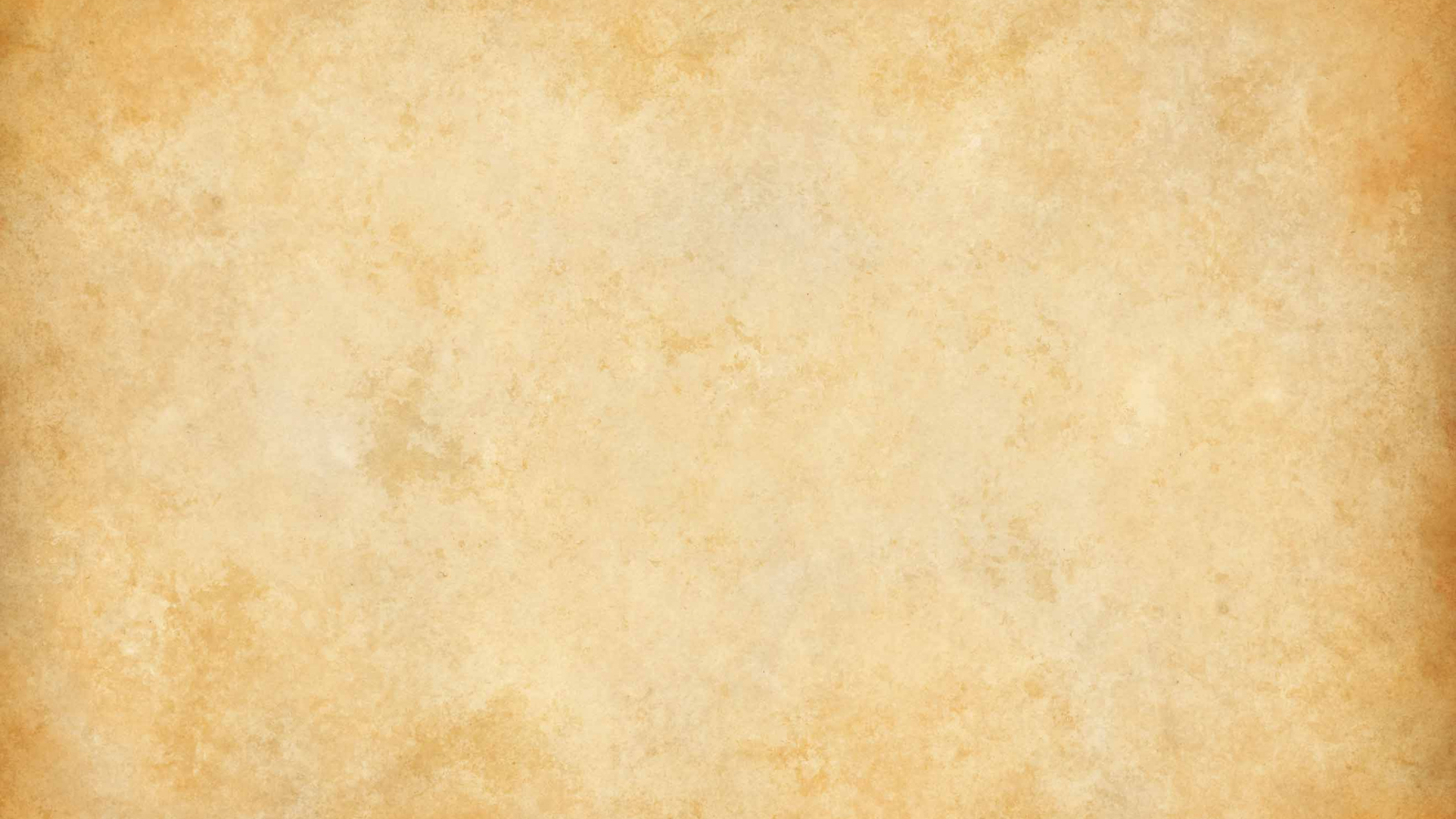 Personne en Chaussures Noires Debout Sur Sol Marron. Wallpaper in 2560x1440 Resolution