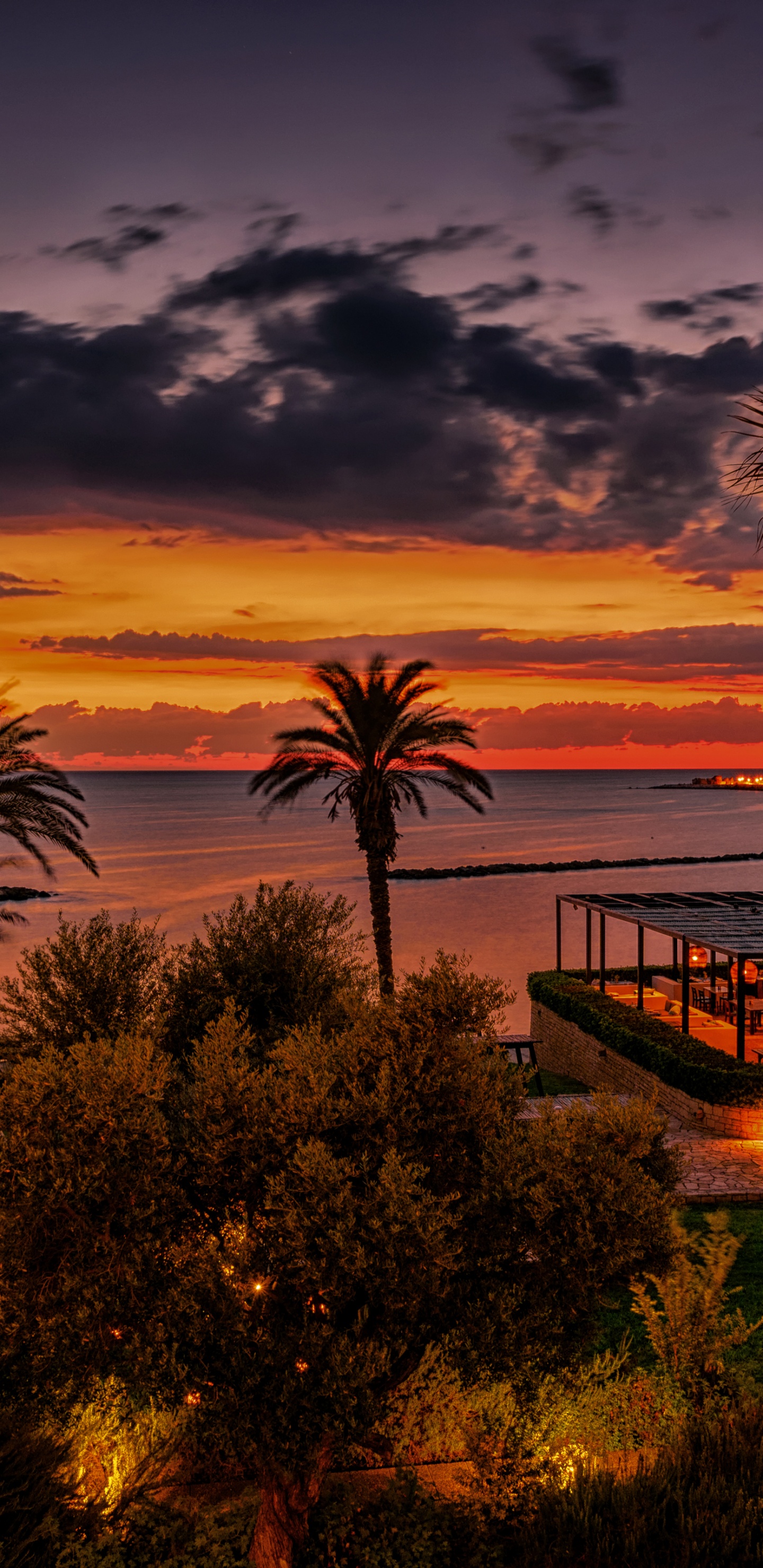 Palmiers Près D'un Plan D'eau au Coucher du Soleil. Wallpaper in 1440x2960 Resolution
