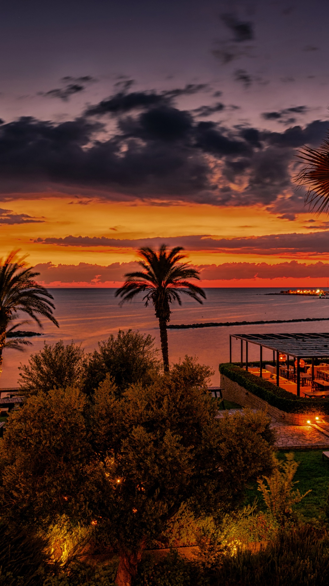 Palm Trees Near Body of Water During Sunset. Wallpaper in 1080x1920 Resolution