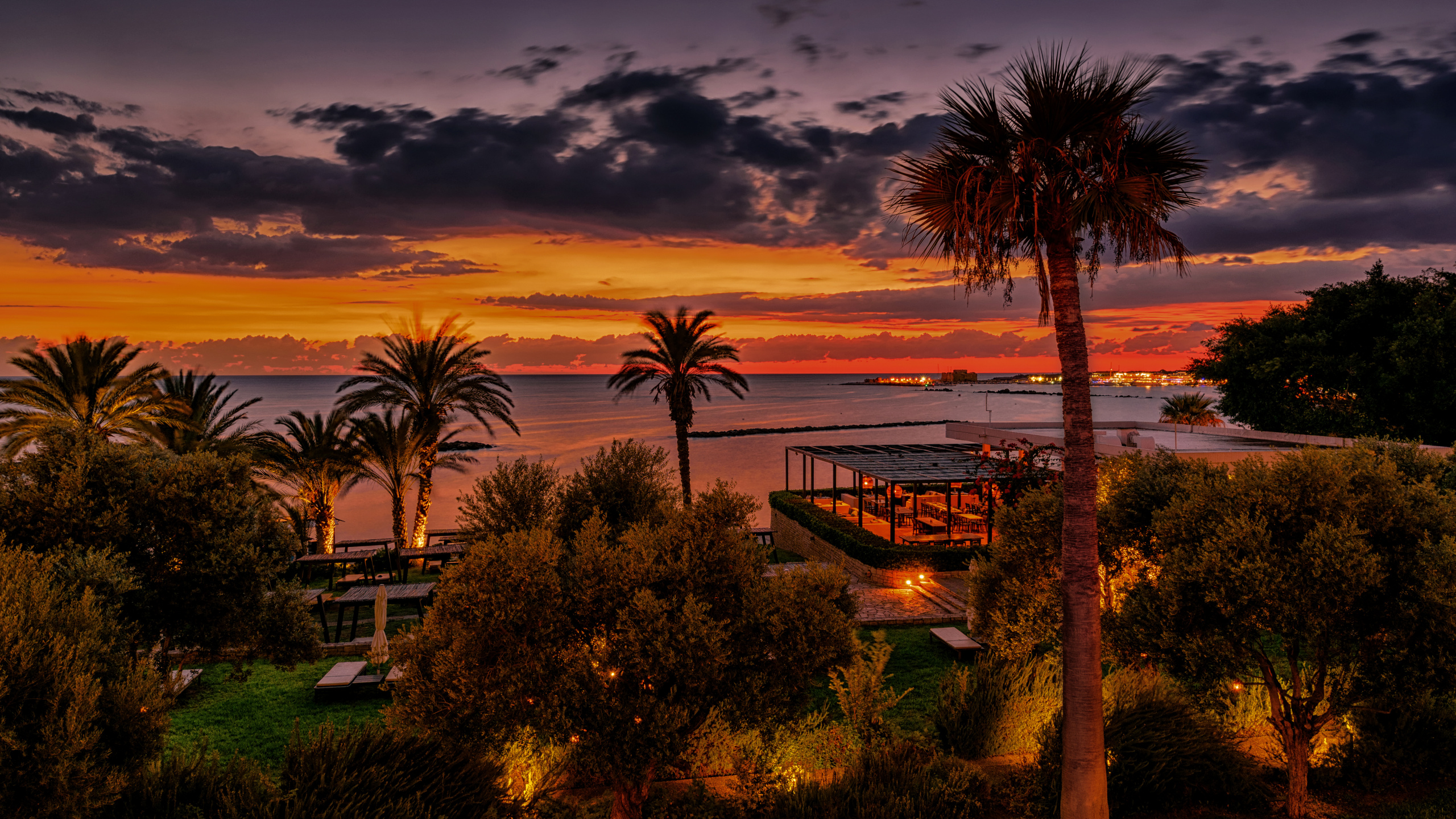 Palm Trees Near Body of Water During Sunset. Wallpaper in 2560x1440 Resolution