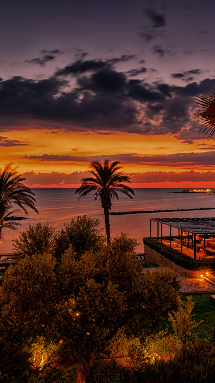 Palm Trees Near Body of Water During Sunset. Wallpaper in 720x1280 Resolution