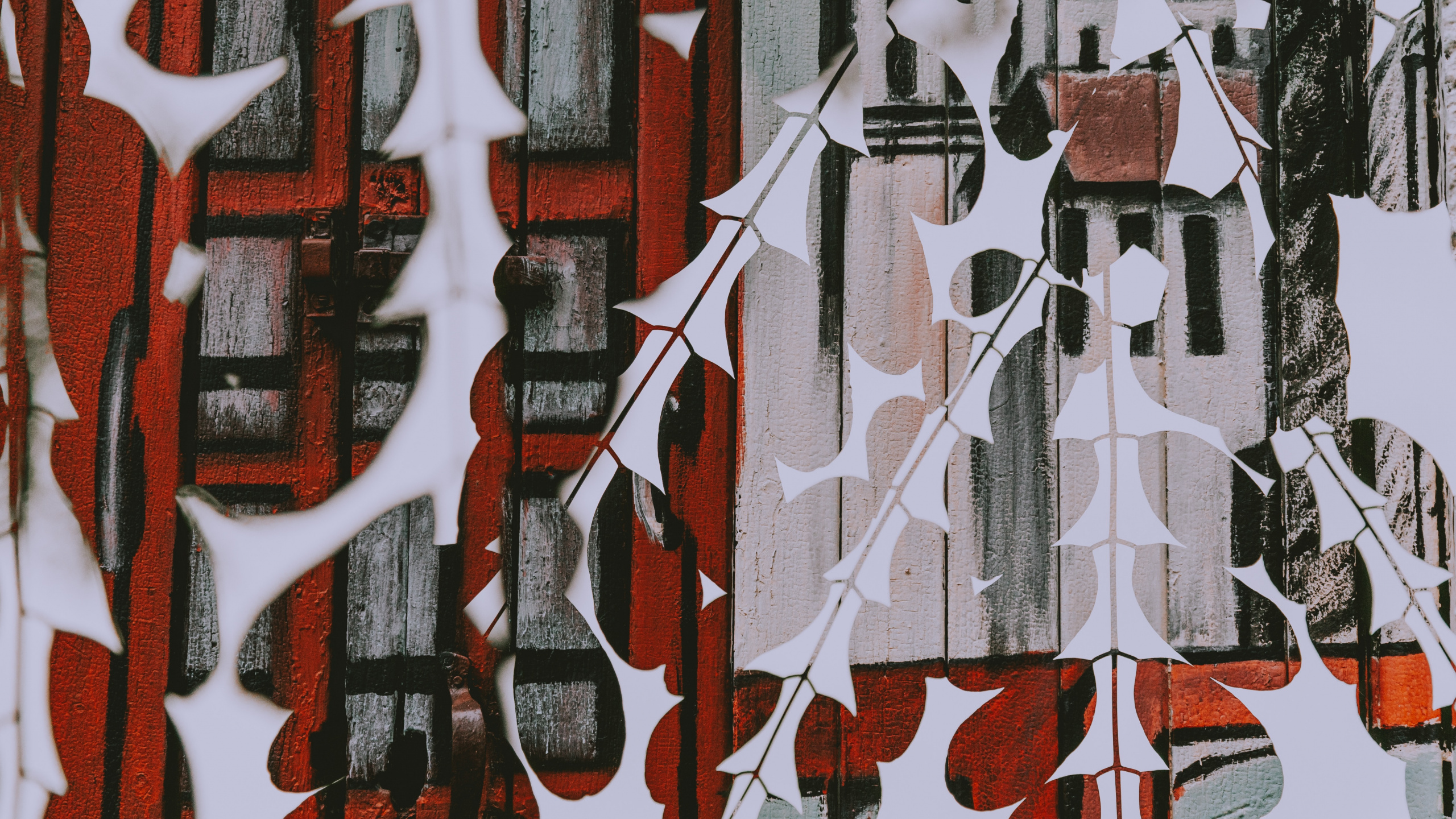 Red and White Floral Textile. Wallpaper in 2560x1440 Resolution