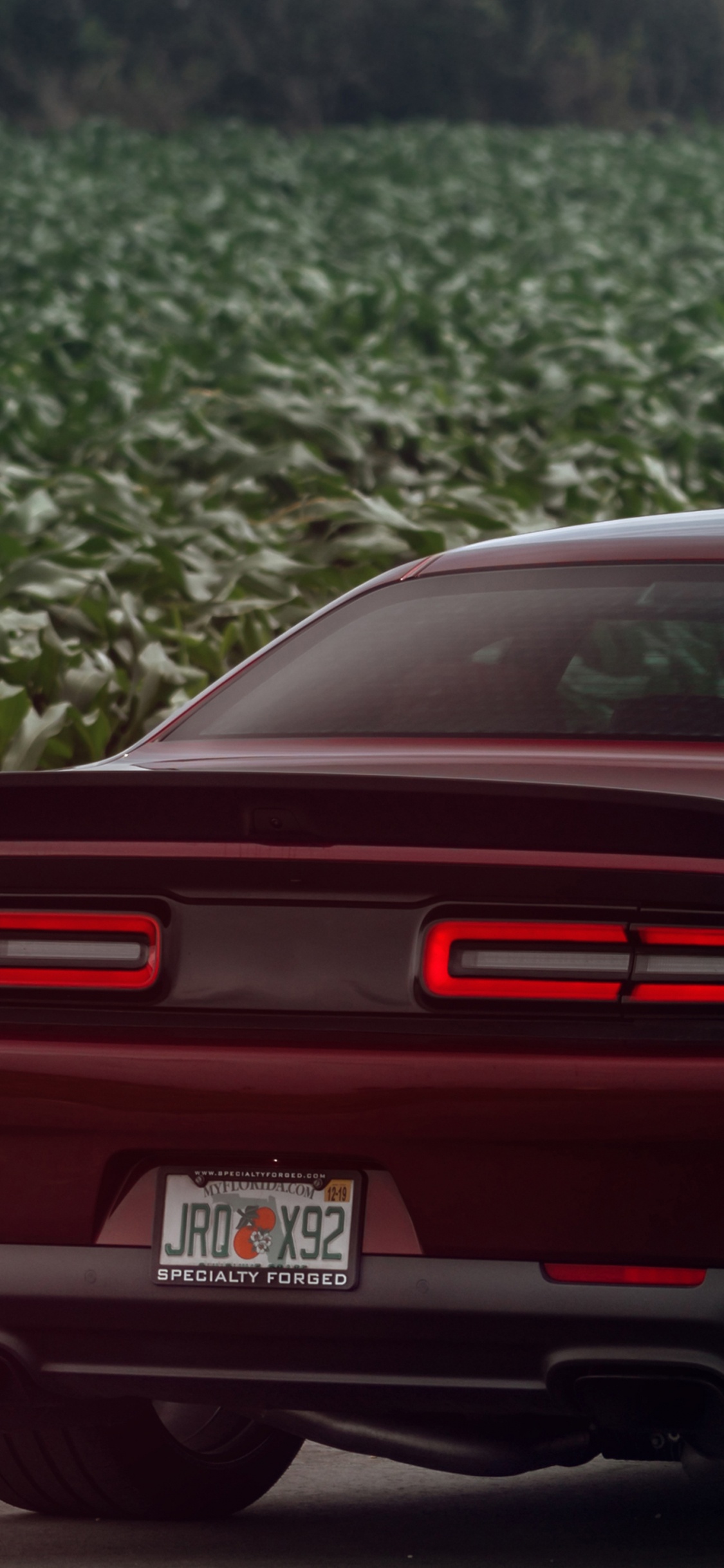 Roter Chevrolet Camaro Tagsüber Unterwegs. Wallpaper in 1125x2436 Resolution