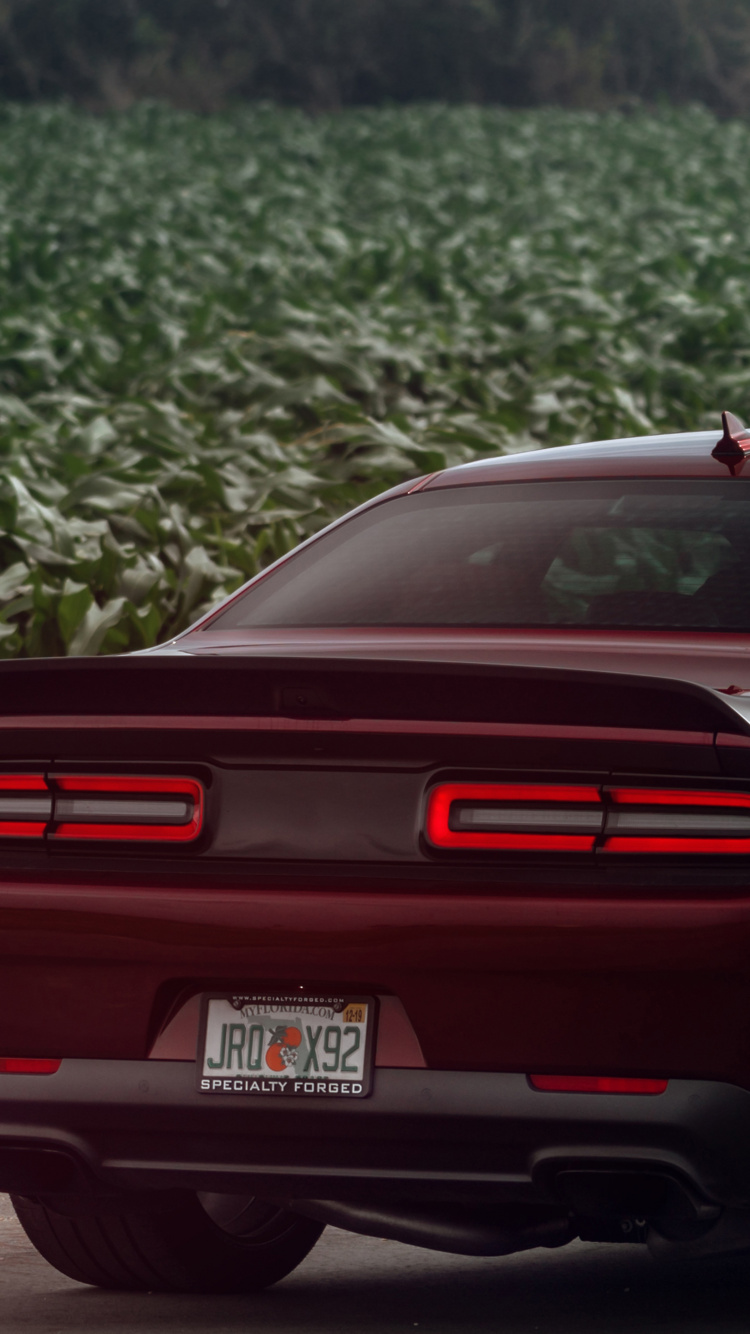 Roter Chevrolet Camaro Tagsüber Unterwegs. Wallpaper in 750x1334 Resolution