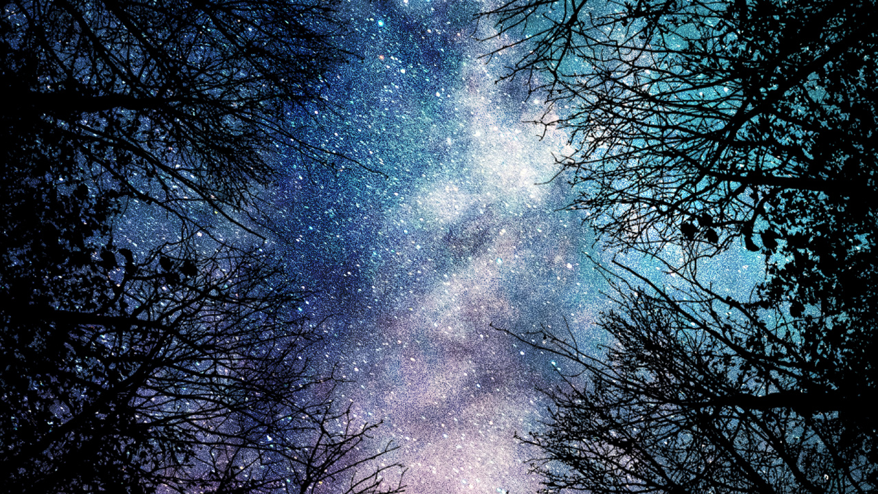 Nature, Atmosphère, Eau, Paysage Naturel, Rameau. Wallpaper in 1280x720 Resolution