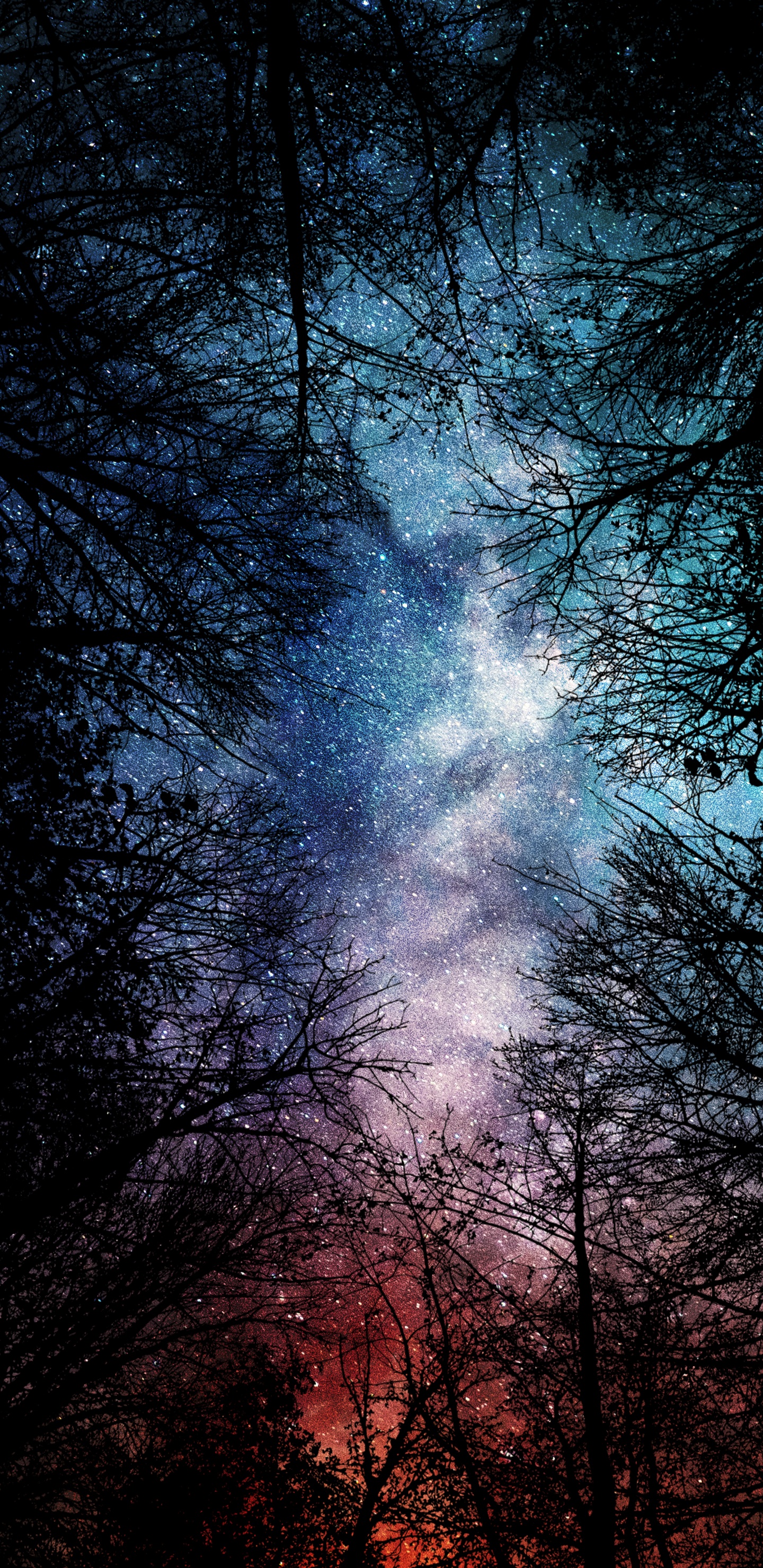 Nature, Atmosphère, Eau, Paysage Naturel, Rameau. Wallpaper in 1440x2960 Resolution