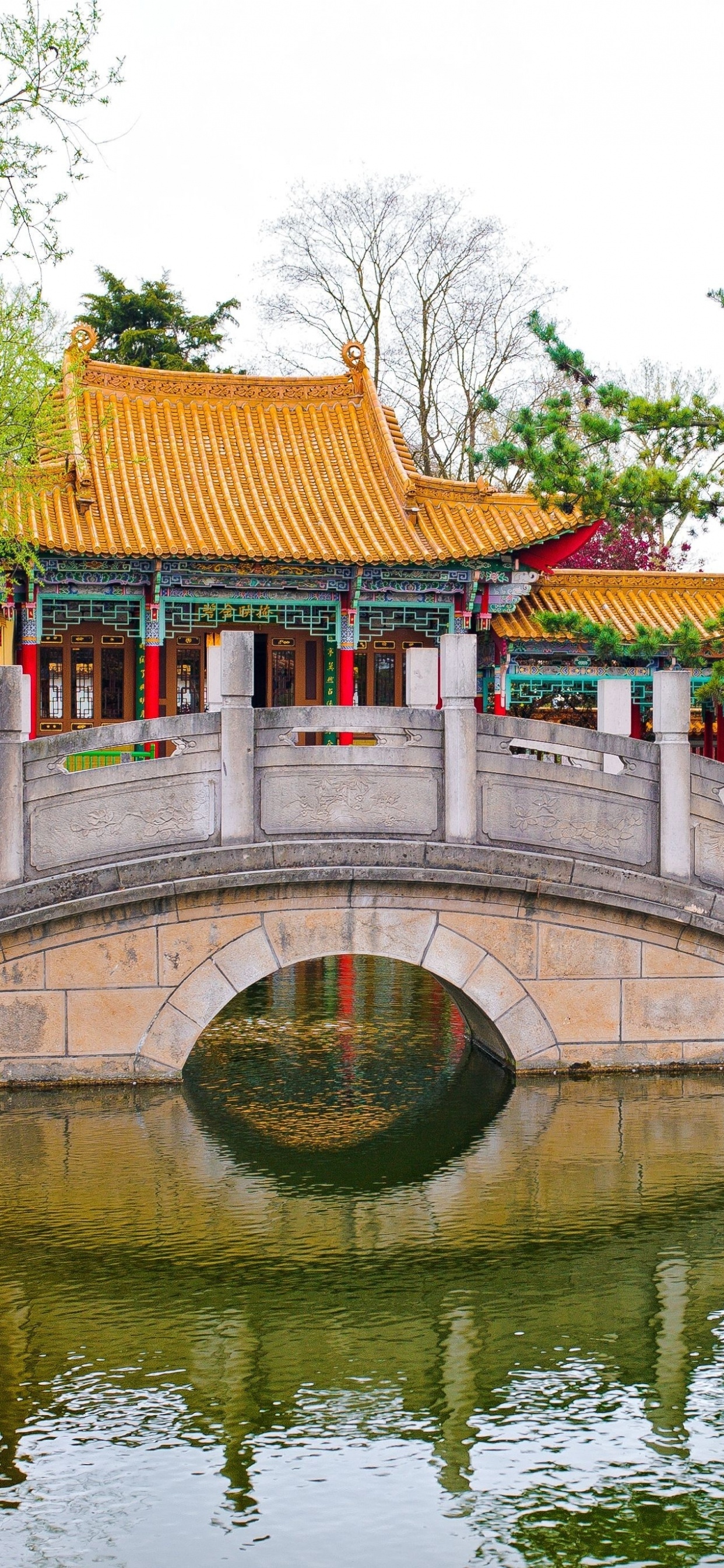 Pont en Béton Marron et Blanc Au-dessus de la Rivière Pendant la Journée. Wallpaper in 1242x2688 Resolution