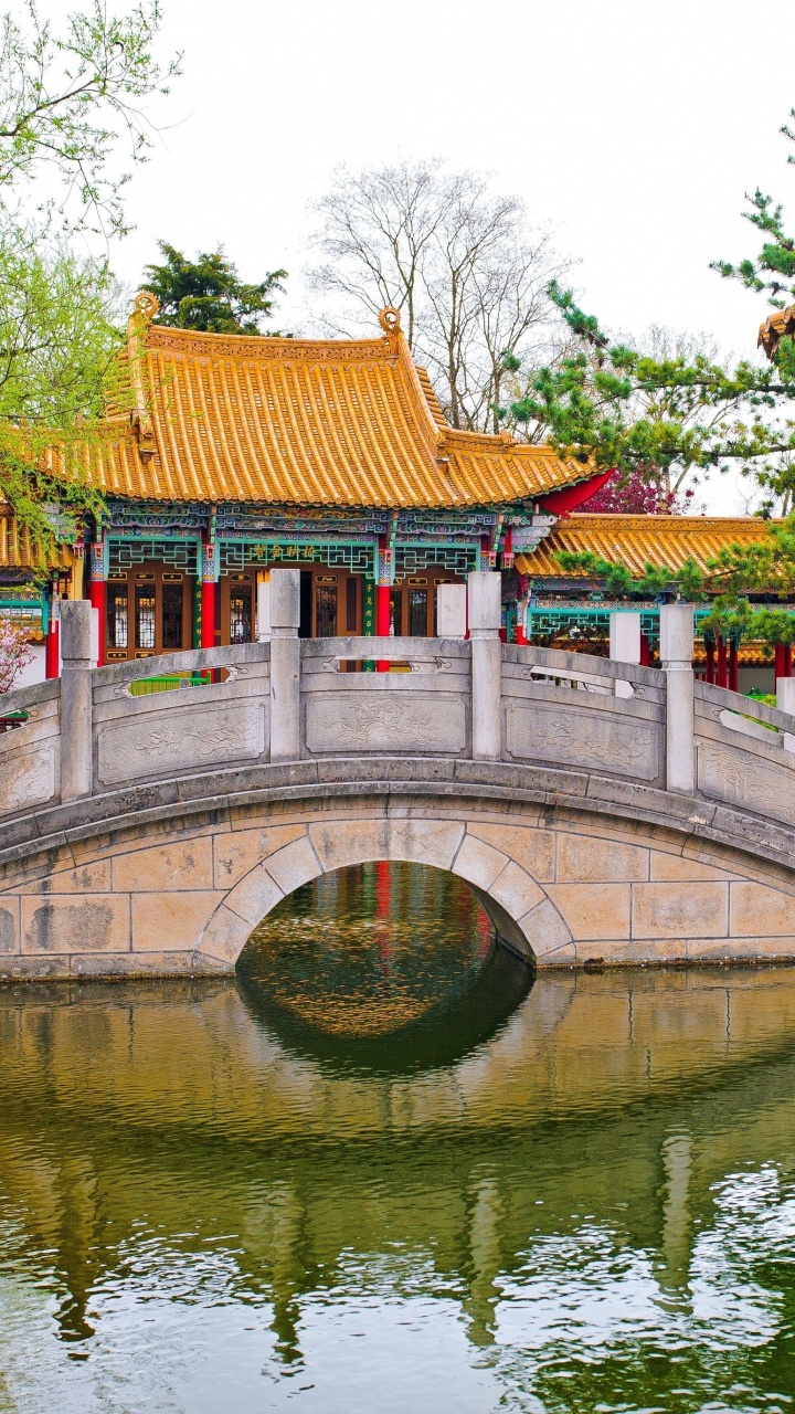 Brown and White Concrete Bridge Over River During Daytime. Wallpaper in 720x1280 Resolution
