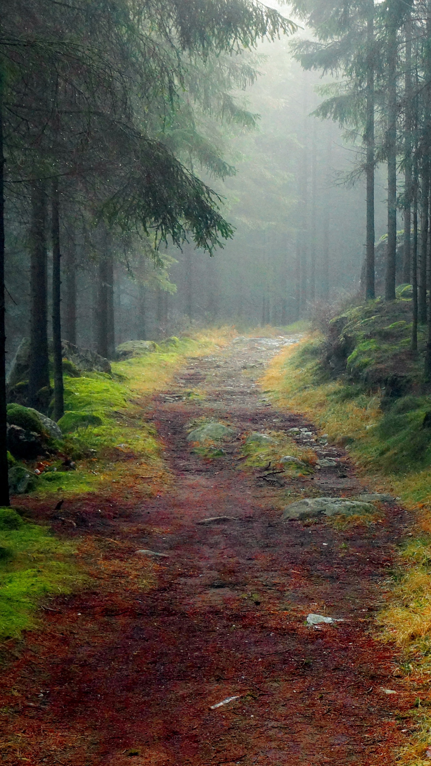 Grüne Bäume Auf Braunem Feldweg. Wallpaper in 1440x2560 Resolution