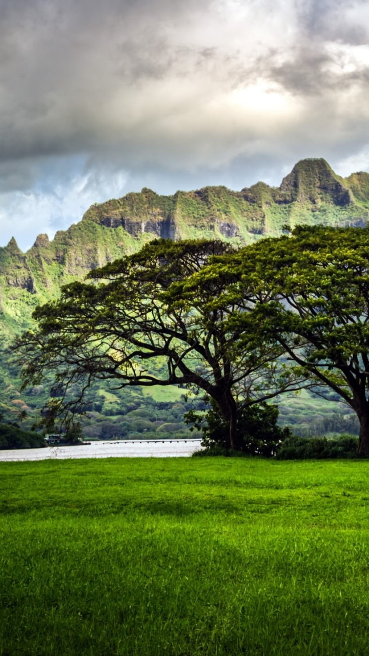 Grüne Wiese in Der Nähe Grüner Bäume Und Berge Unter Weißen Wolken Tagsüber. Wallpaper in 720x1280 Resolution