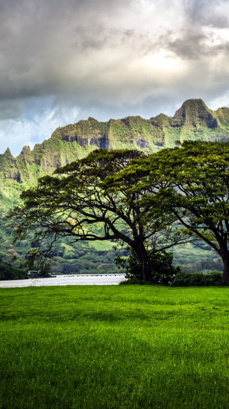 Grüne Wiese in Der Nähe Grüner Bäume Und Berge Unter Weißen Wolken Tagsüber. Wallpaper in 750x1334 Resolution