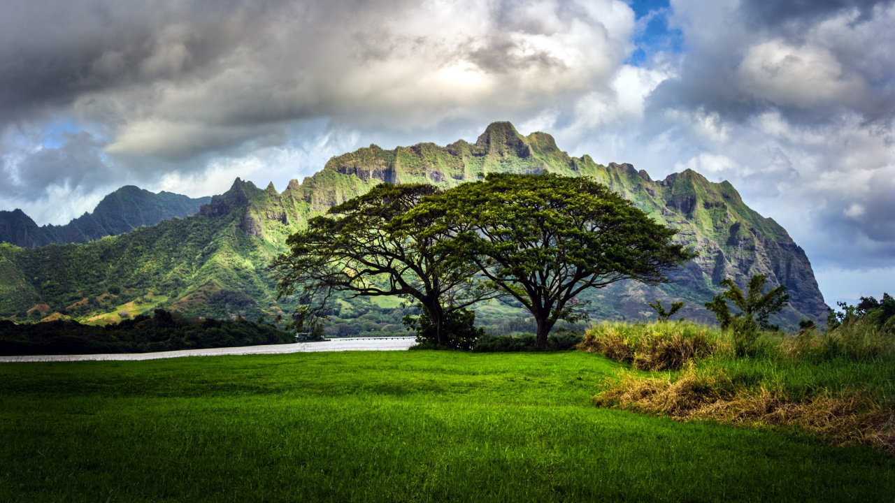 Green Grass Field Near Green Trees and Mountain Under White Clouds During Daytime. Wallpaper in 1280x720 Resolution