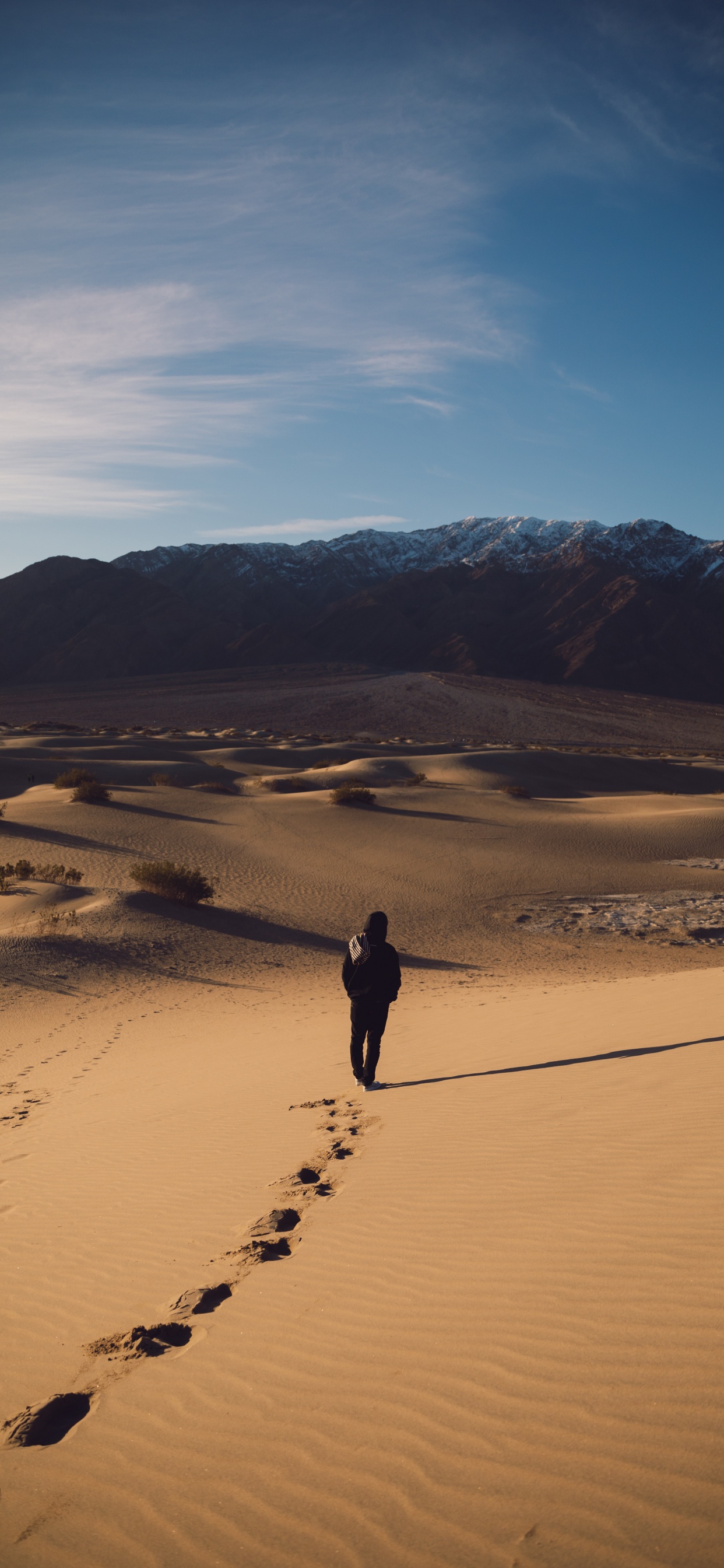 Desert, Dune, Sand, Natural Environment, Landscape. Wallpaper in 1242x2688 Resolution