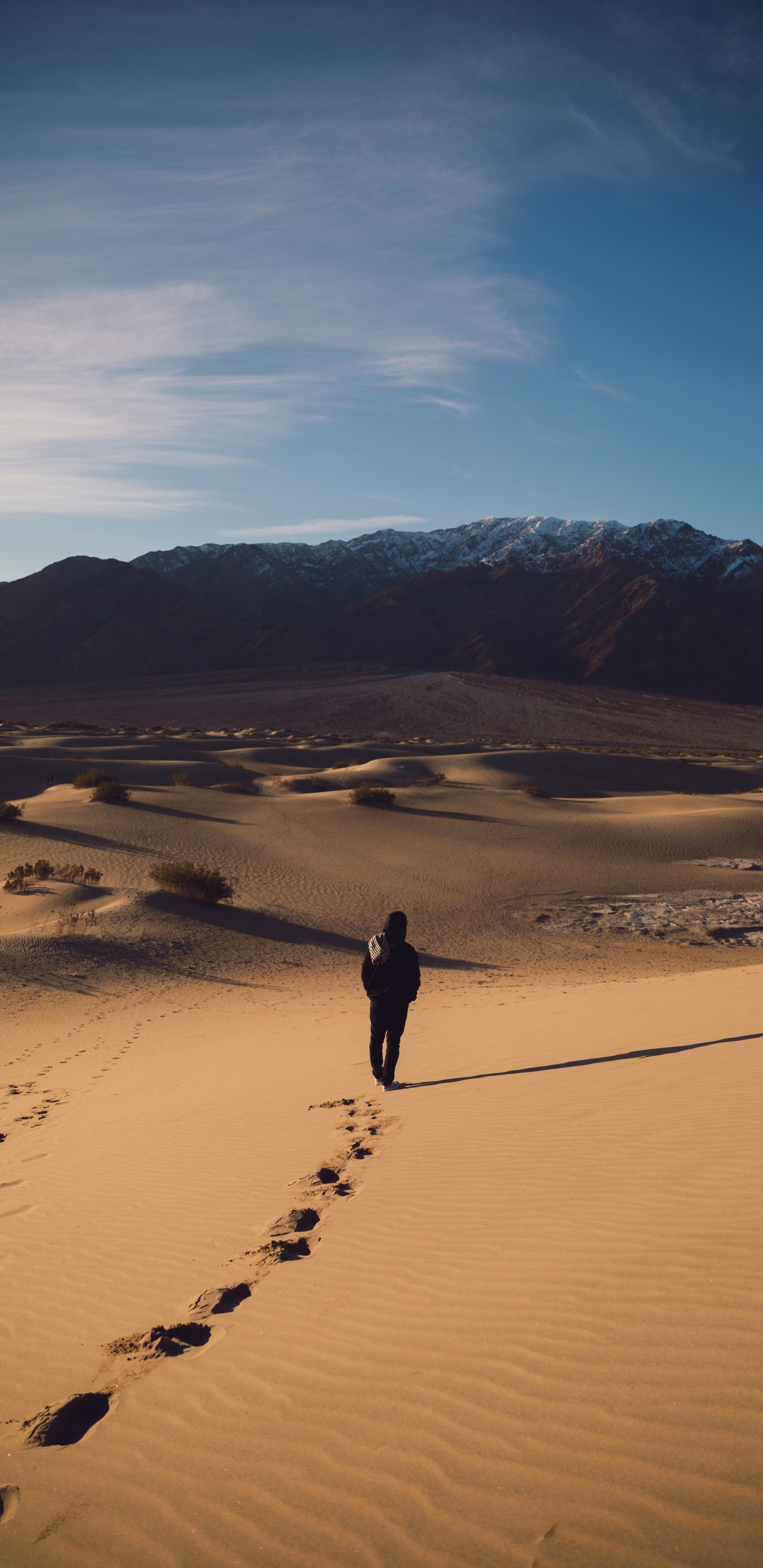 Desert, Dune, Sand, Natural Environment, Landscape. Wallpaper in 1440x2960 Resolution