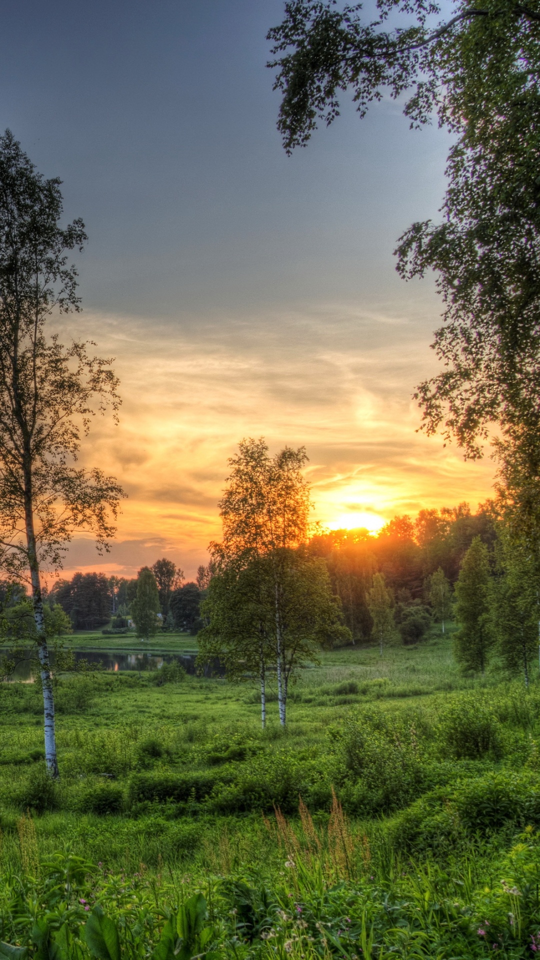 Green Grass Field With Trees During Sunset. Wallpaper in 1080x1920 Resolution