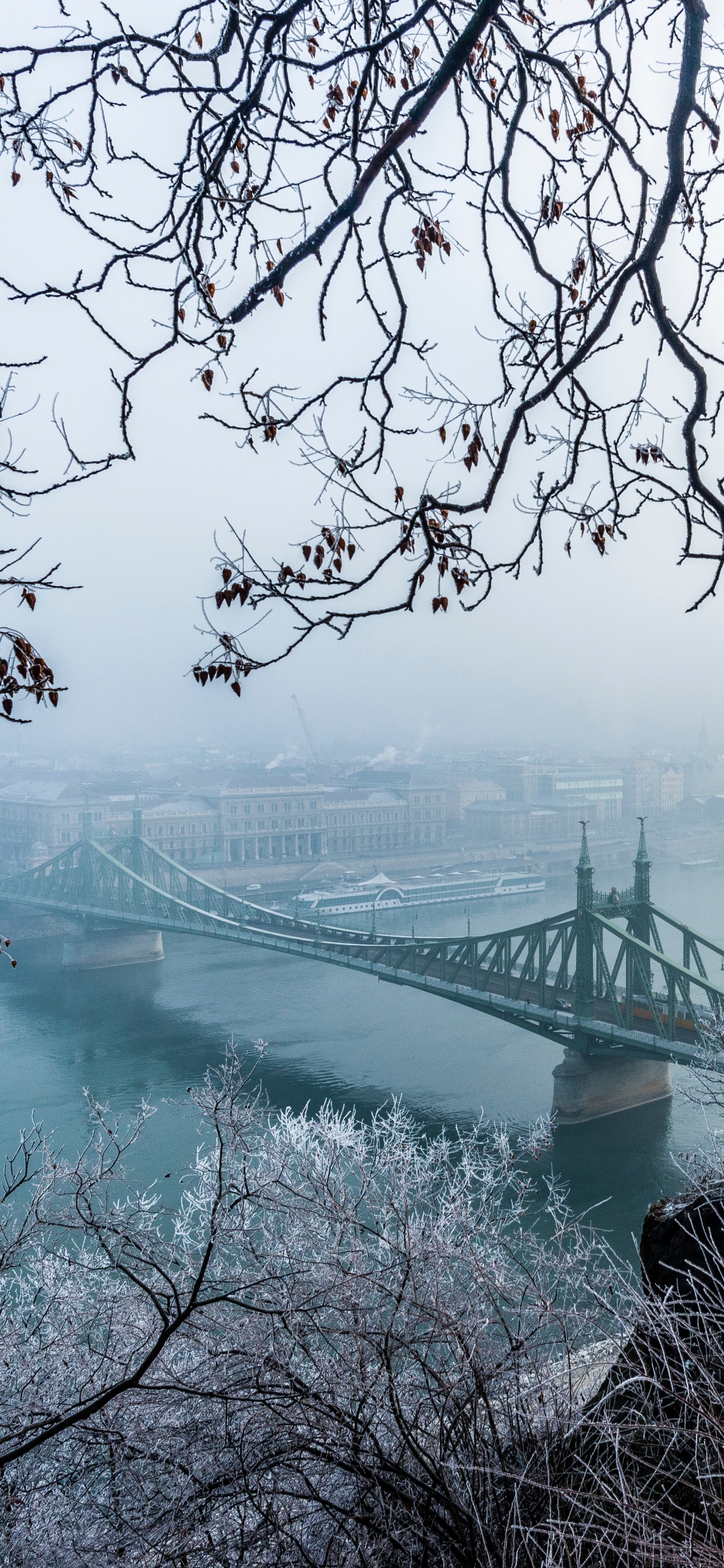 Bridge Over River During Daytime. Wallpaper in 1242x2688 Resolution