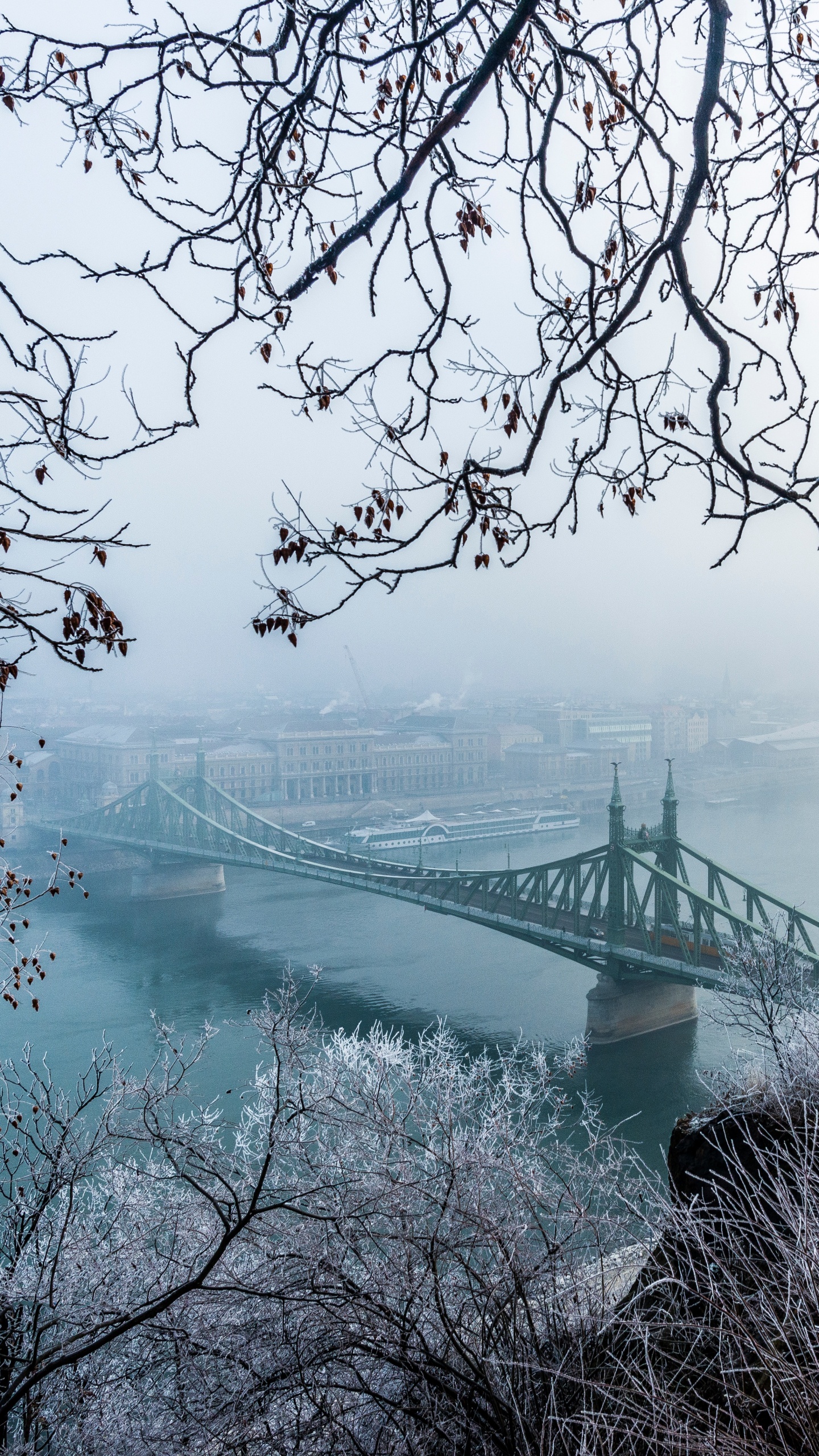 Bridge Over River During Daytime. Wallpaper in 1440x2560 Resolution