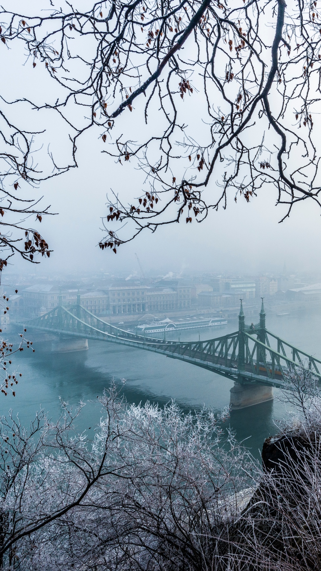 冬天, 冻结, Szchenyi链桥, 自然景观, 布达佩斯 壁纸 1080x1920 允许