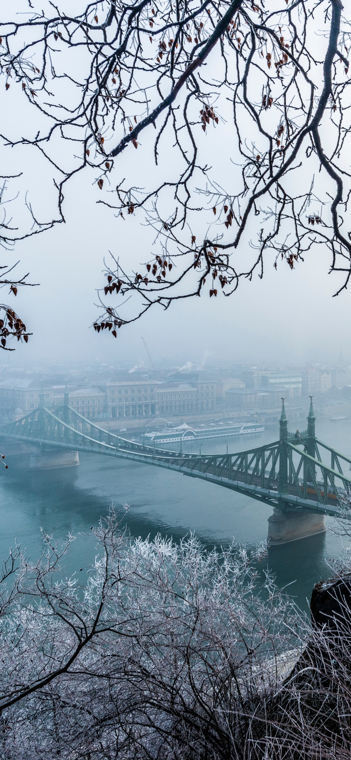 冬天, 冻结, Szchenyi链桥, 自然景观, 布达佩斯 壁纸 1125x2436 允许