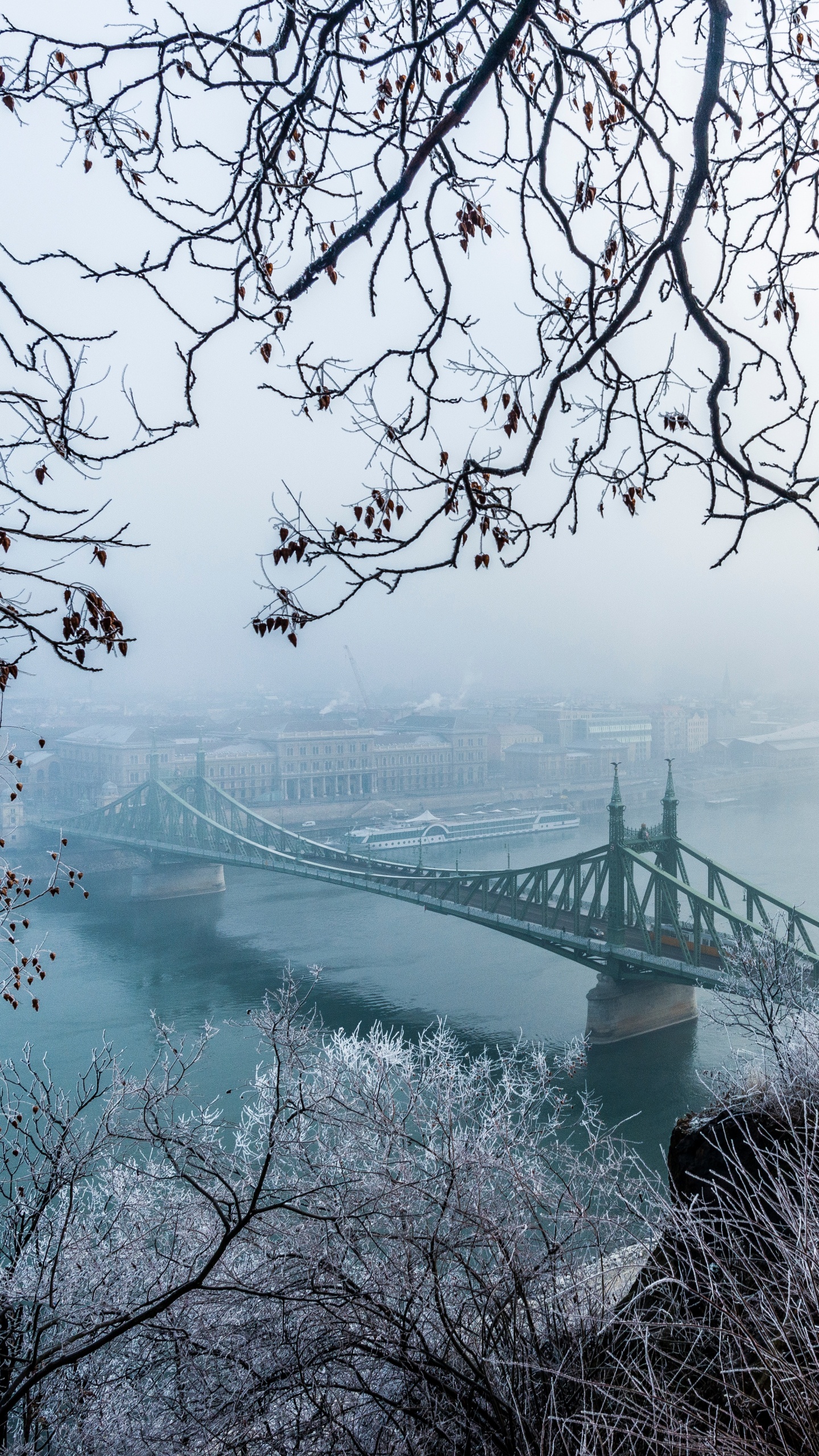 冬天, 冻结, Szchenyi链桥, 自然景观, 布达佩斯 壁纸 1440x2560 允许