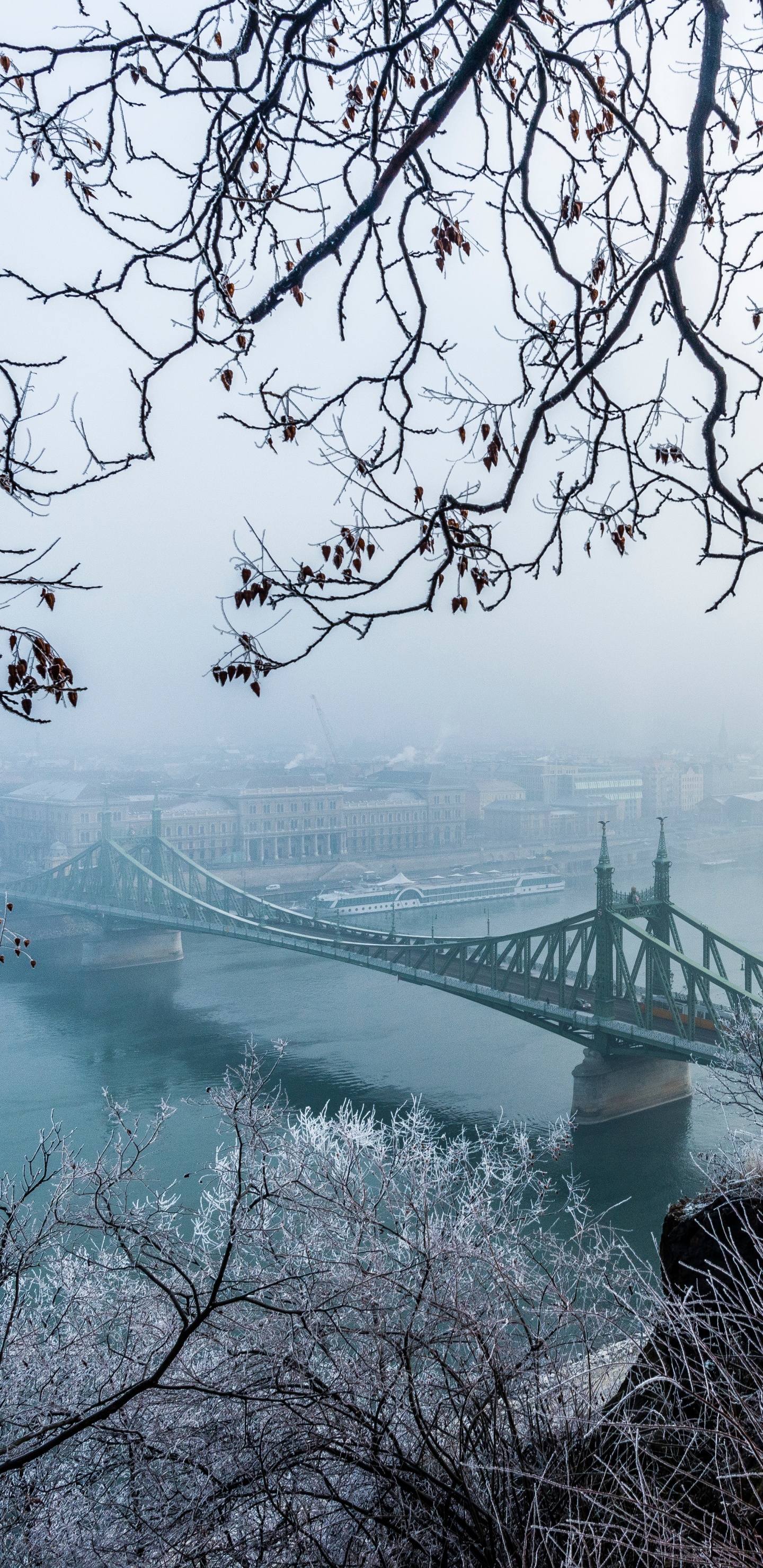 冬天, 冻结, Szchenyi链桥, 自然景观, 布达佩斯 壁纸 1440x2960 允许
