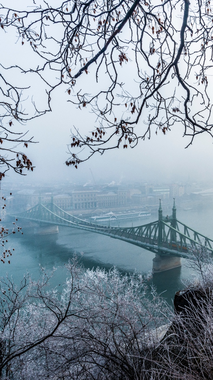 冬天, 冻结, Szchenyi链桥, 自然景观, 布达佩斯 壁纸 720x1280 允许