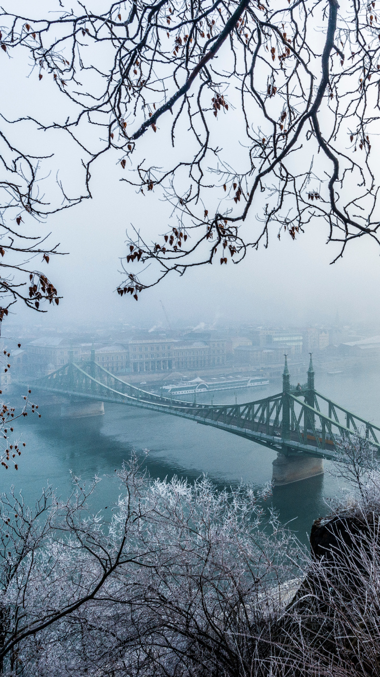 冬天, 冻结, Szchenyi链桥, 自然景观, 布达佩斯 壁纸 750x1334 允许