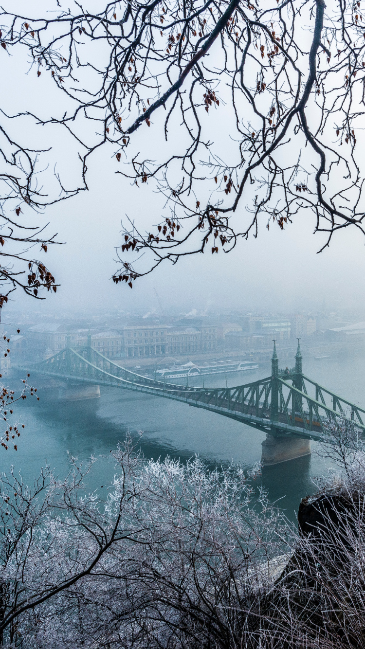 Pont Sur la Rivière Pendant la Journée. Wallpaper in 750x1334 Resolution
