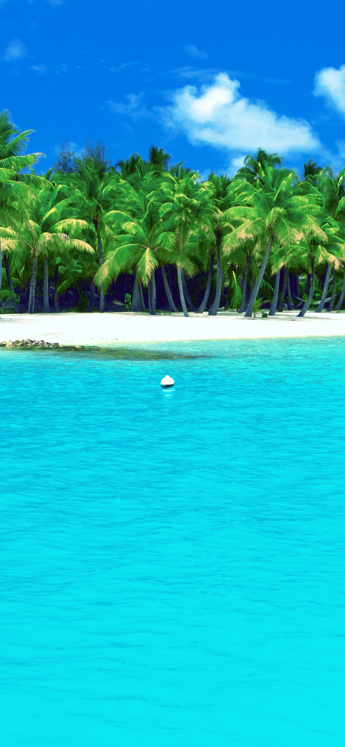 Plage de Sable Blanc Avec Palmiers Sur le Côté. Wallpaper in 1125x2436 Resolution