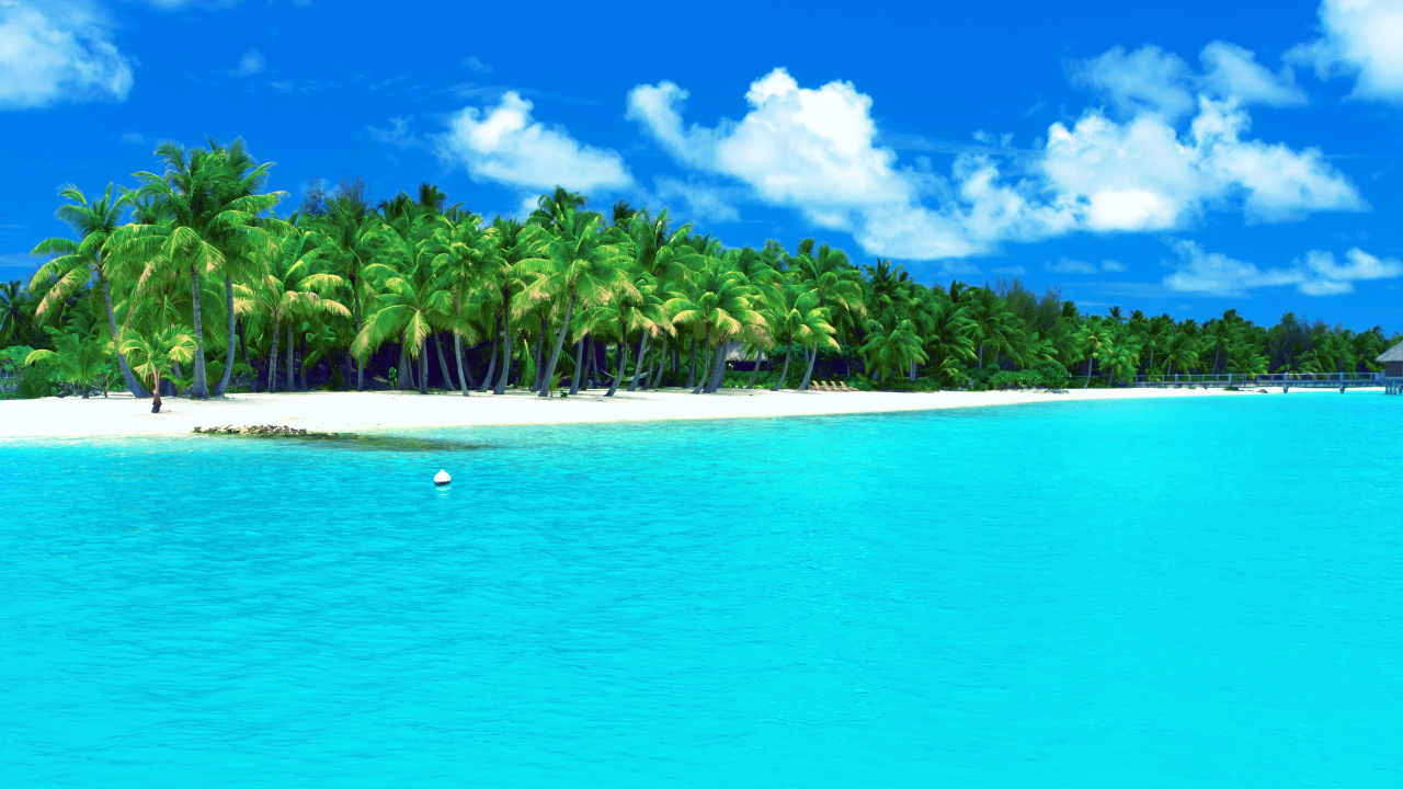 White Sand Beach With Palm Trees on The Side. Wallpaper in 1280x720 Resolution
