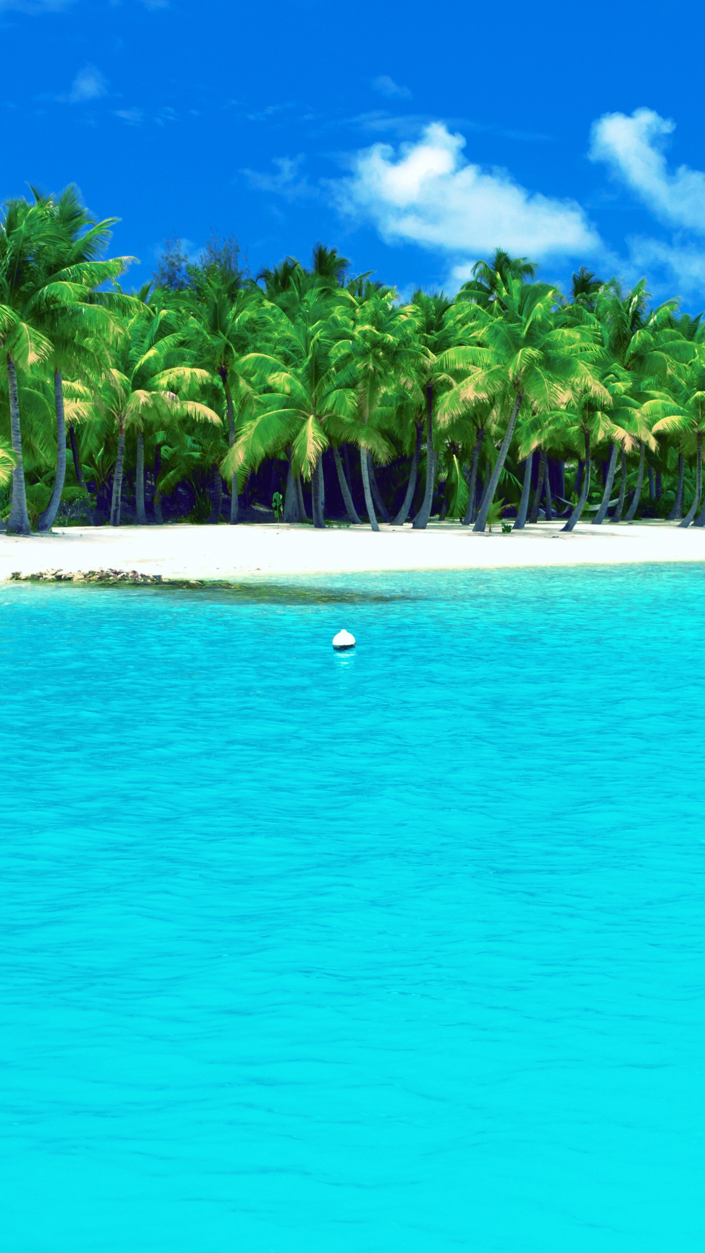 White Sand Beach With Palm Trees on The Side. Wallpaper in 1440x2560 Resolution