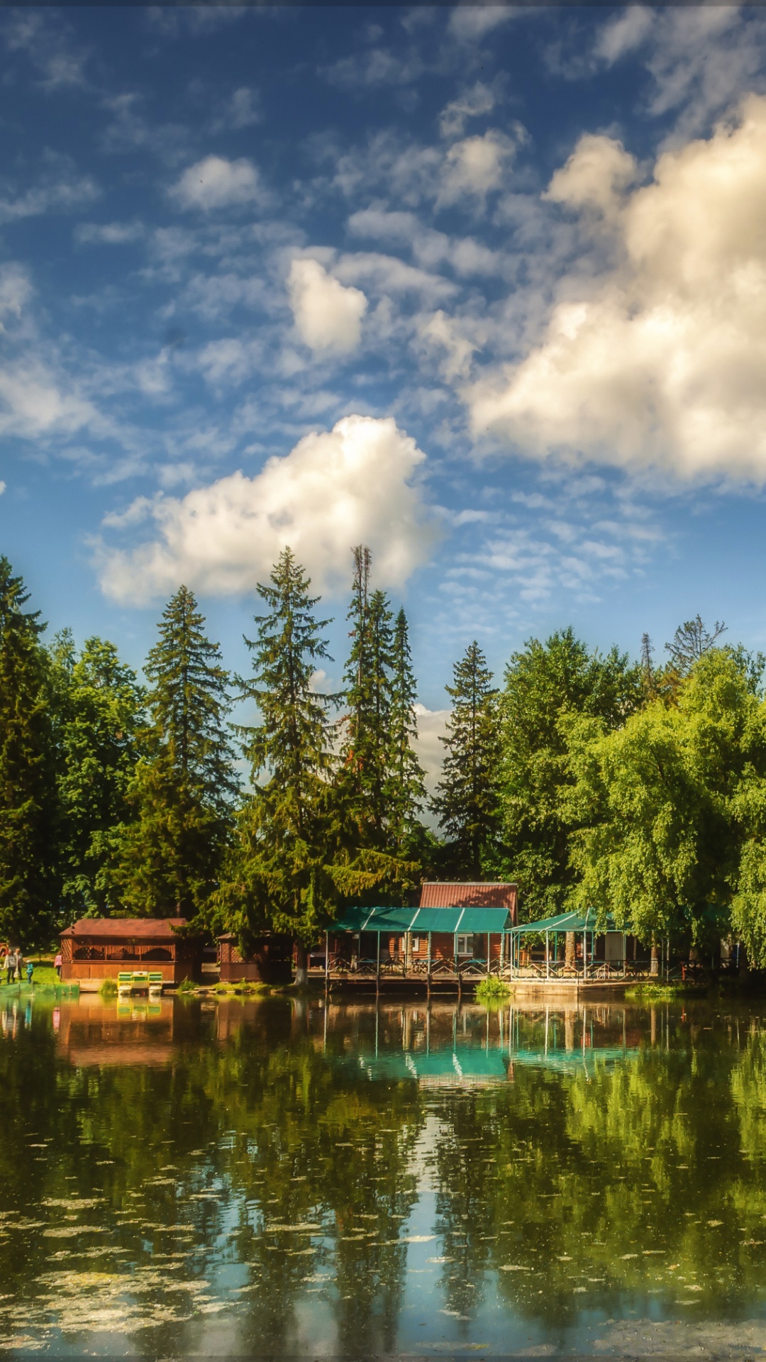 Arbres Verts à Côté D'un Plan D'eau Sous un Ciel Bleu et Des Nuages Blancs Pendant la Journée. Wallpaper in 1080x1920 Resolution