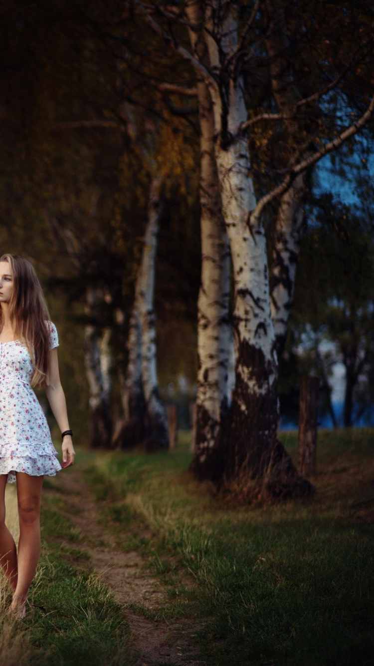 性质, 森林, 林地, 路径, Birch 壁纸 750x1334 允许