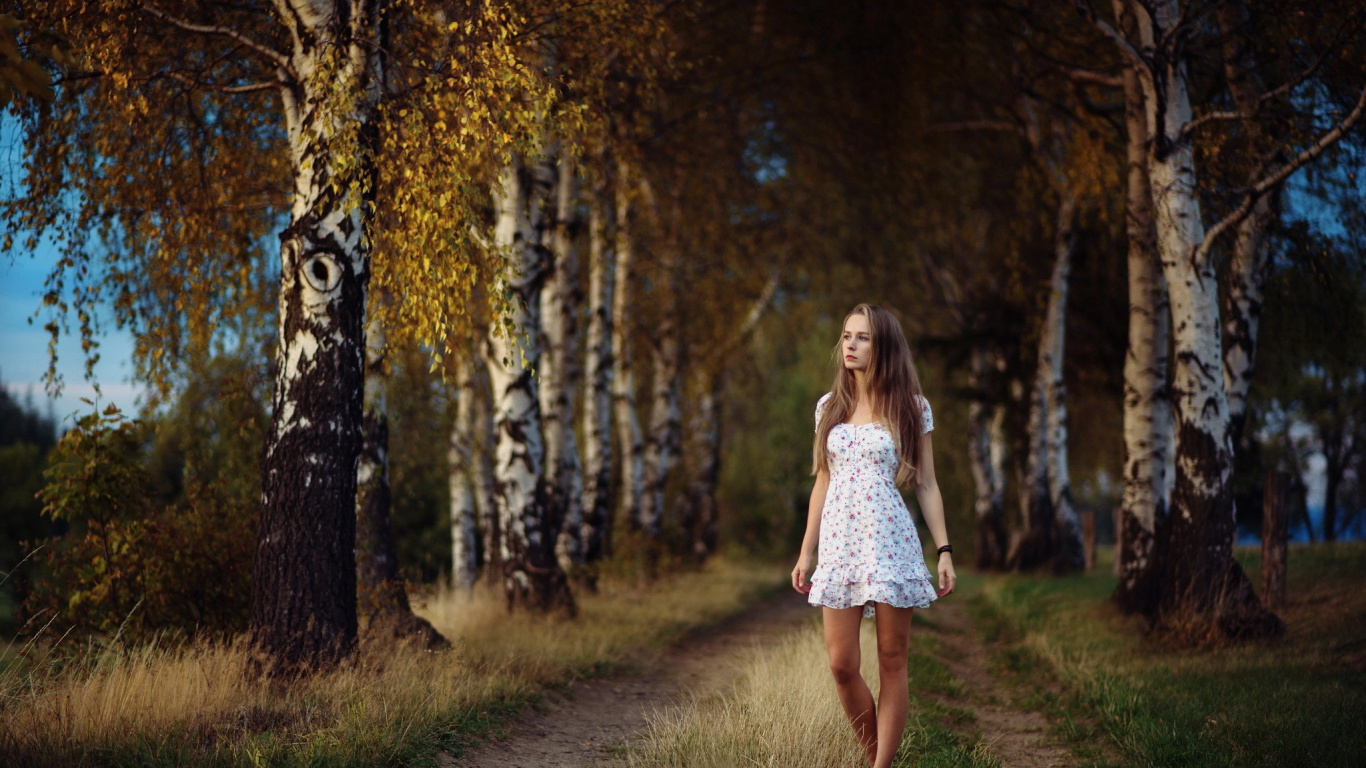 Tree, Nature, Forest, Beauty, Woodland. Wallpaper in 1366x768 Resolution