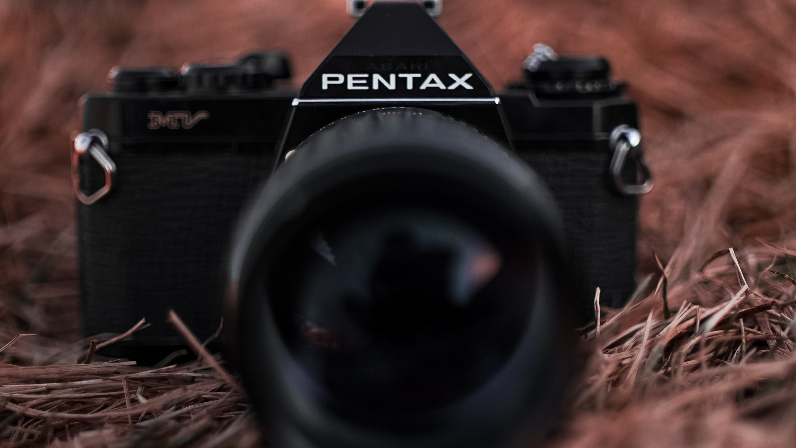 Appareil Photo Reflex Numérique Nikon Noir Sur L'herbe Séchée Brune. Wallpaper in 2560x1440 Resolution