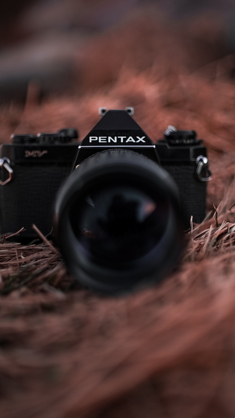 Appareil Photo Reflex Numérique Nikon Noir Sur L'herbe Séchée Brune. Wallpaper in 750x1334 Resolution