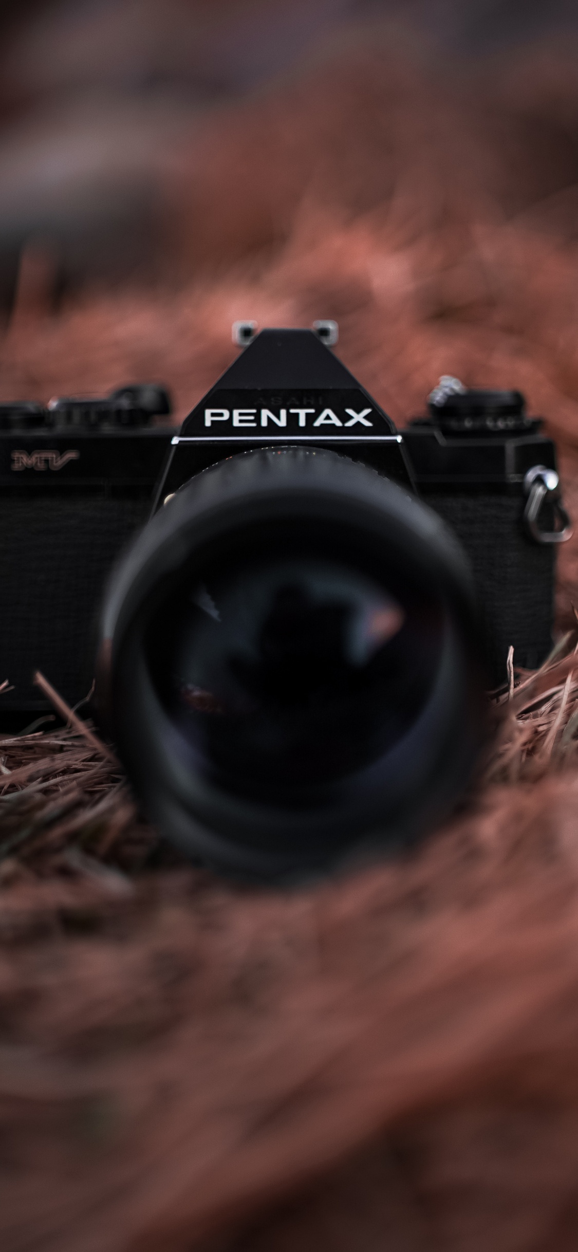 Schwarze Nikon Dslr Kamera Auf Braunem Getrocknetem Gras. Wallpaper in 1125x2436 Resolution