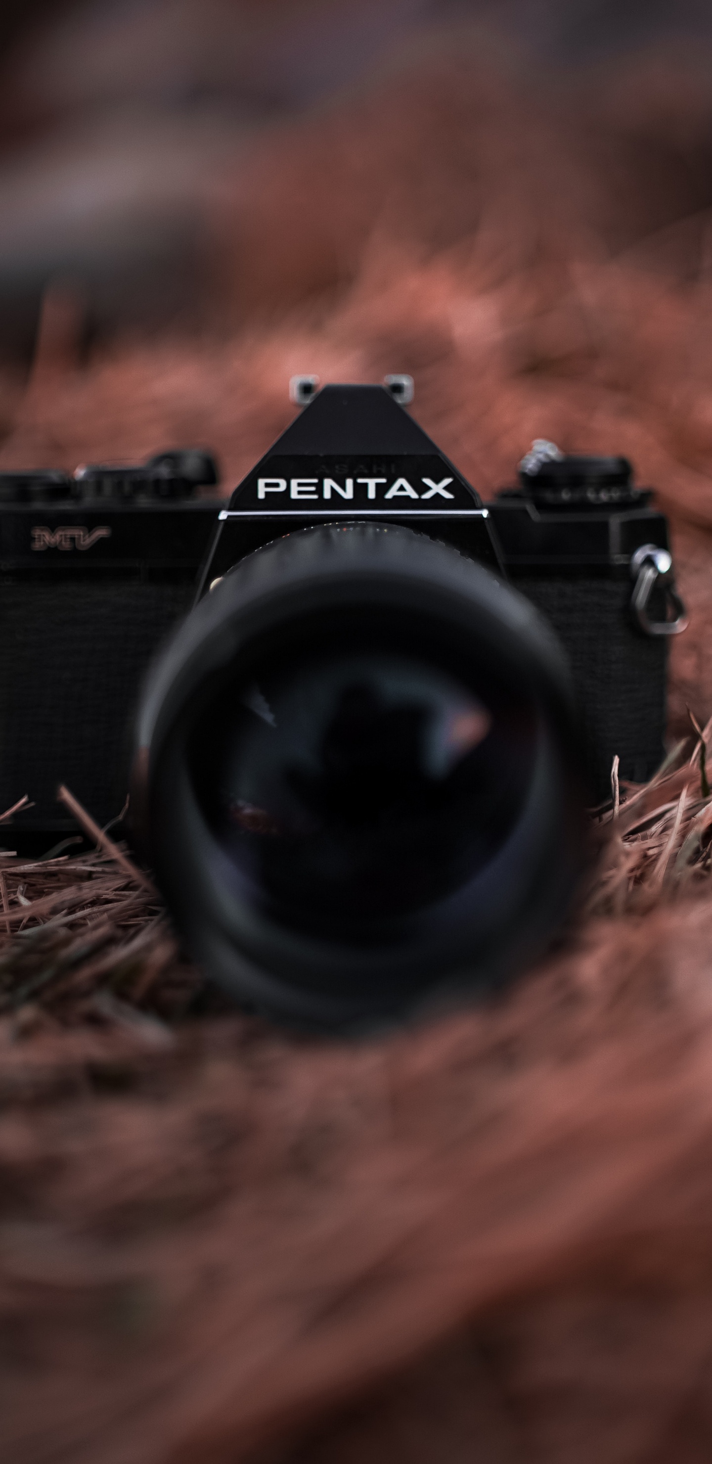 Schwarze Nikon Dslr Kamera Auf Braunem Getrocknetem Gras. Wallpaper in 1440x2960 Resolution