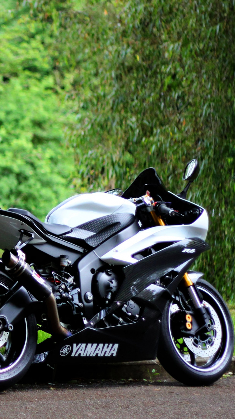 Vélo de Sport Noir et Blanc Garé à Côté de la Rivière Pendant la Journée. Wallpaper in 750x1334 Resolution