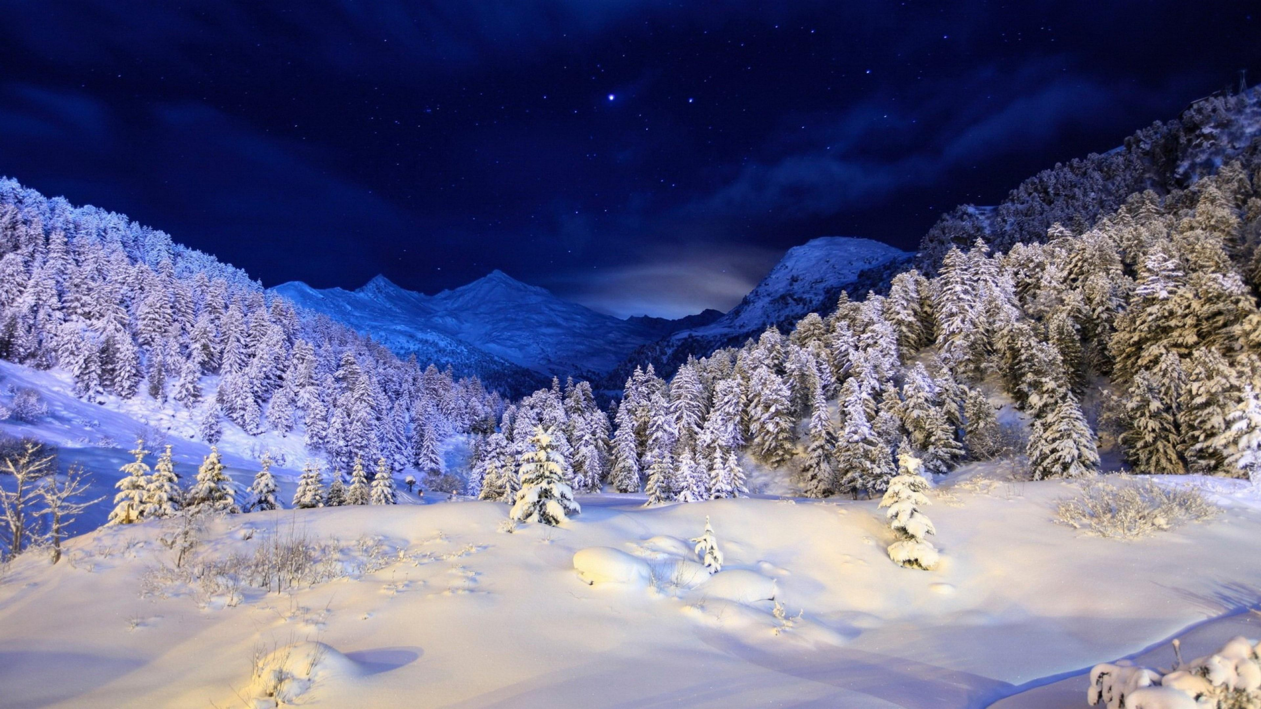 Snow Covered Trees and Mountains During Daytime. Wallpaper in 2560x1440 Resolution