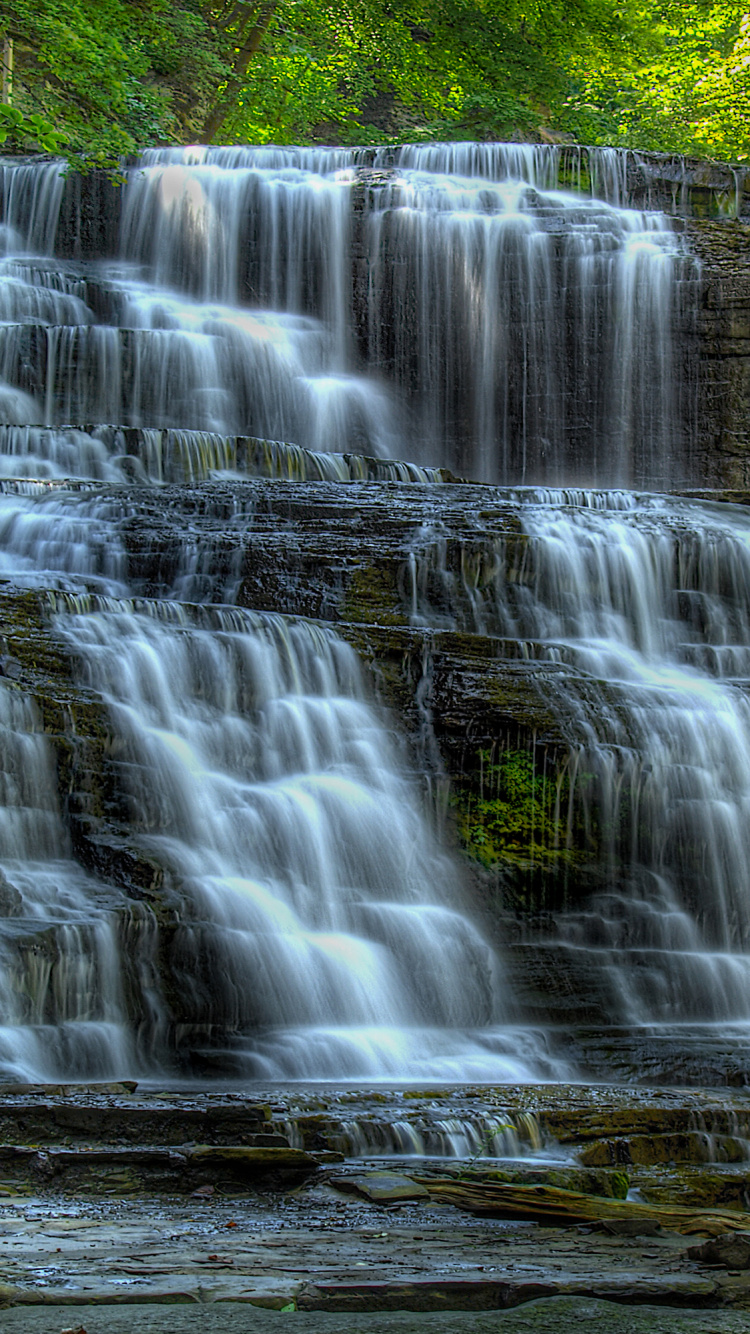 Water Falls in The Forest. Wallpaper in 750x1334 Resolution