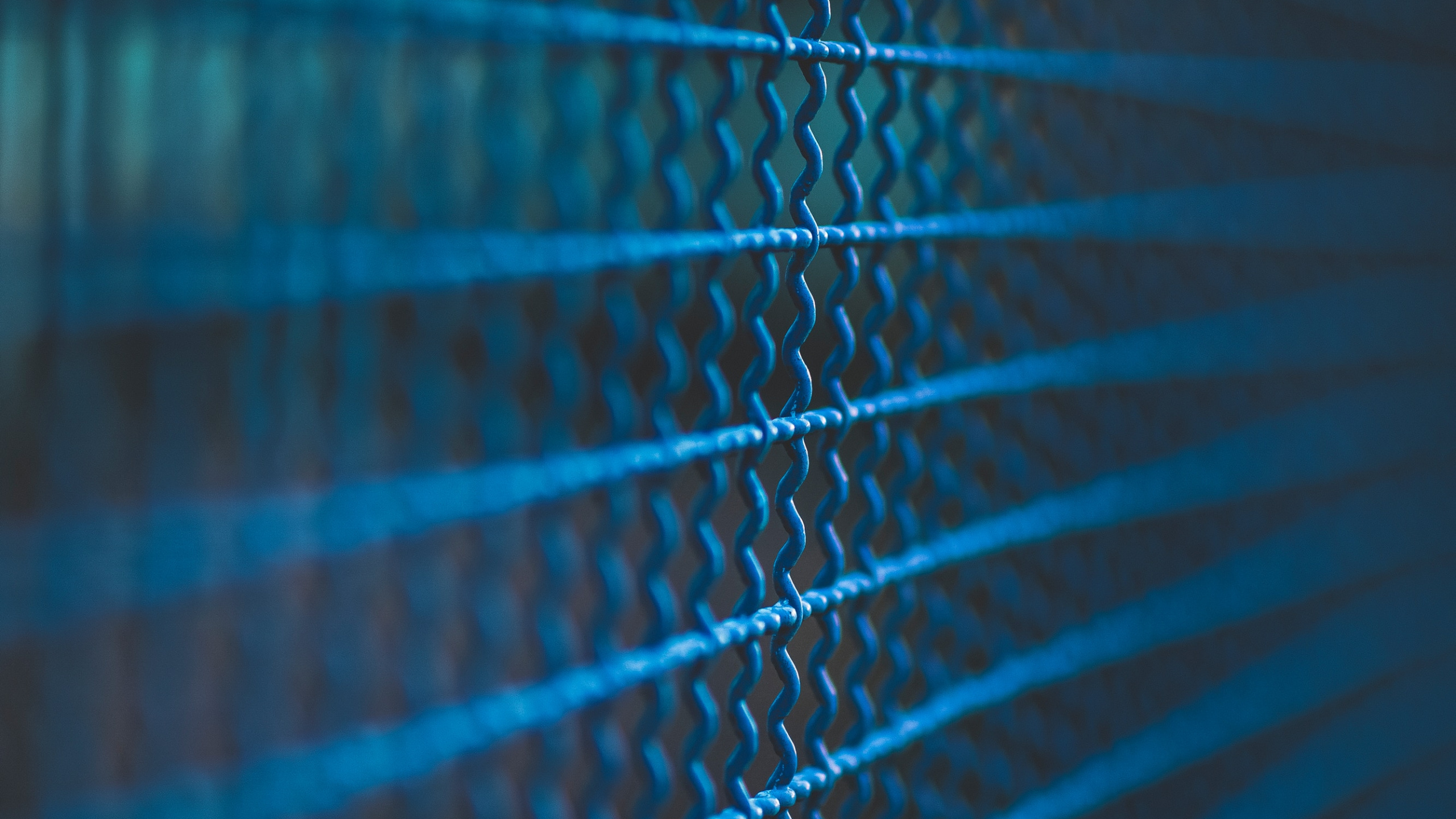 钴蓝色的, 绿色的, 电蓝色的, Azure, 水上 壁纸 2560x1440 允许