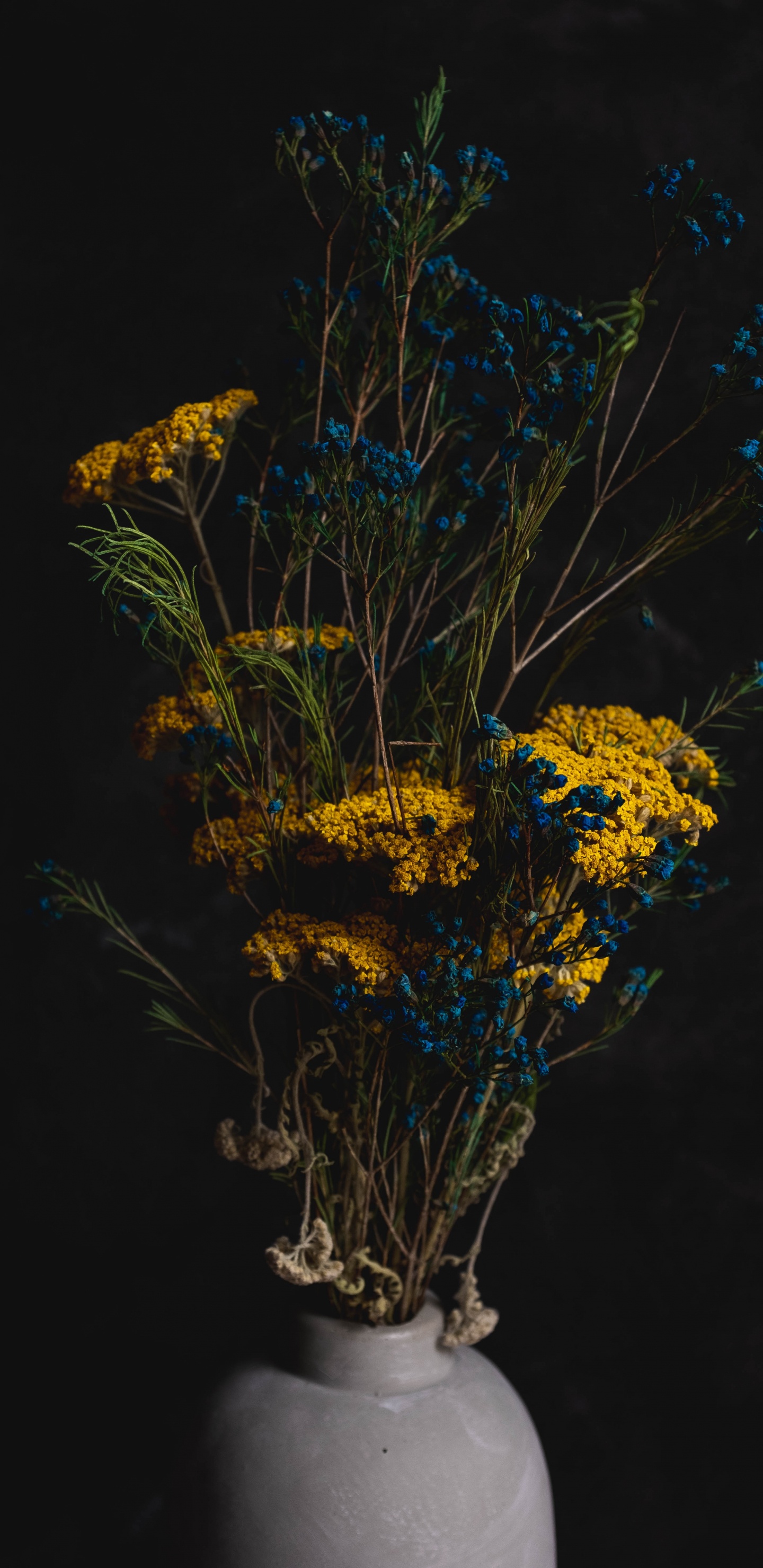 Yellow and Brown Flower Plant. Wallpaper in 1440x2960 Resolution