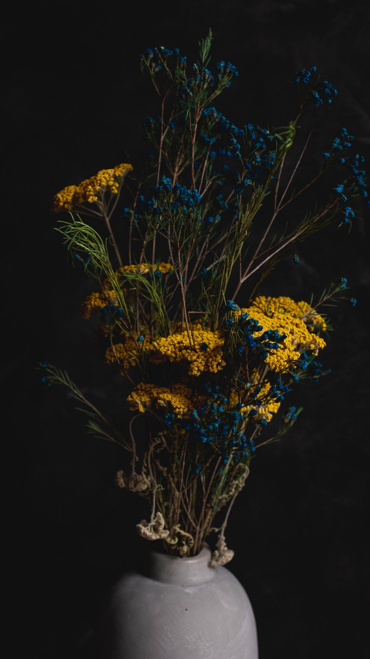 Yellow and Brown Flower Plant. Wallpaper in 720x1280 Resolution