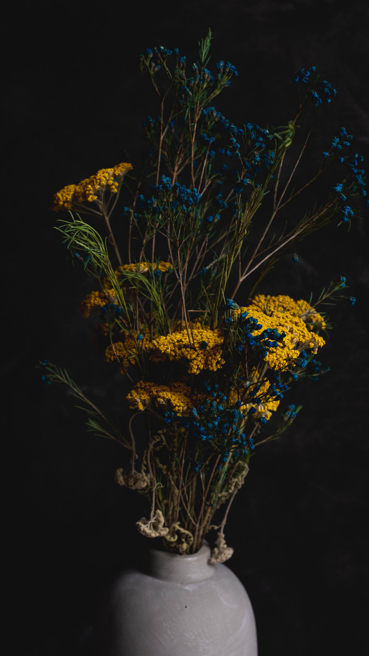 Yellow and Brown Flower Plant. Wallpaper in 750x1334 Resolution