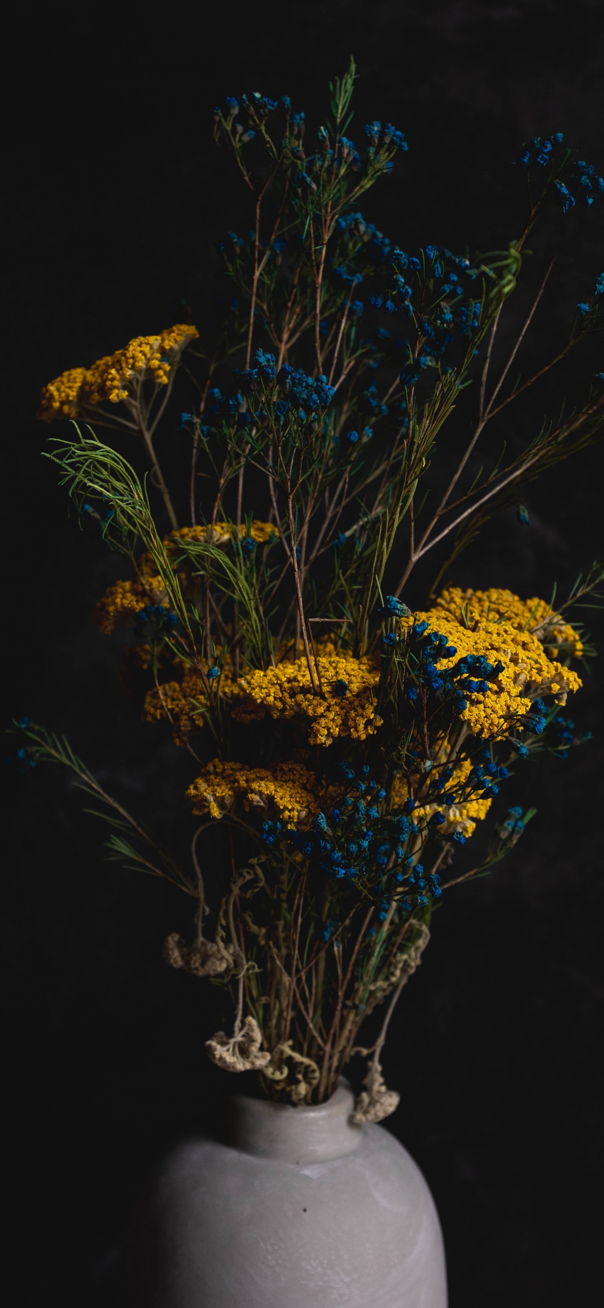 Gelbe Und Braune Blumenpflanze. Wallpaper in 1242x2688 Resolution