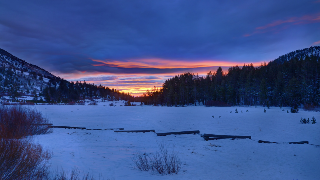 Champ Couvert de Neige et Arbres Pendant le Coucher du Soleil. Wallpaper in 1280x720 Resolution