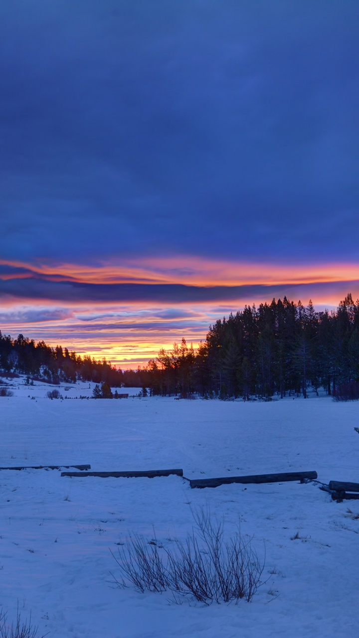 Champ Couvert de Neige et Arbres Pendant le Coucher du Soleil. Wallpaper in 720x1280 Resolution