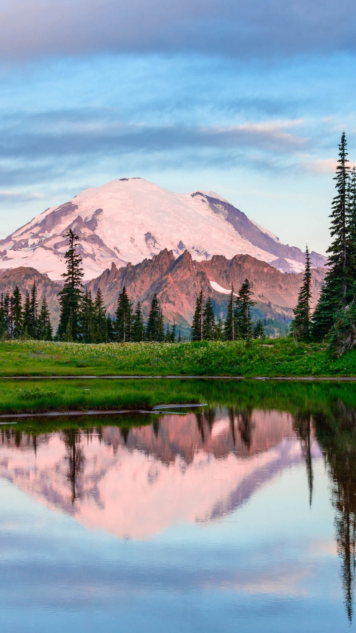 Grüne Wiese in Der Nähe Von See Und Berg Tagsüber. Wallpaper in 720x1280 Resolution