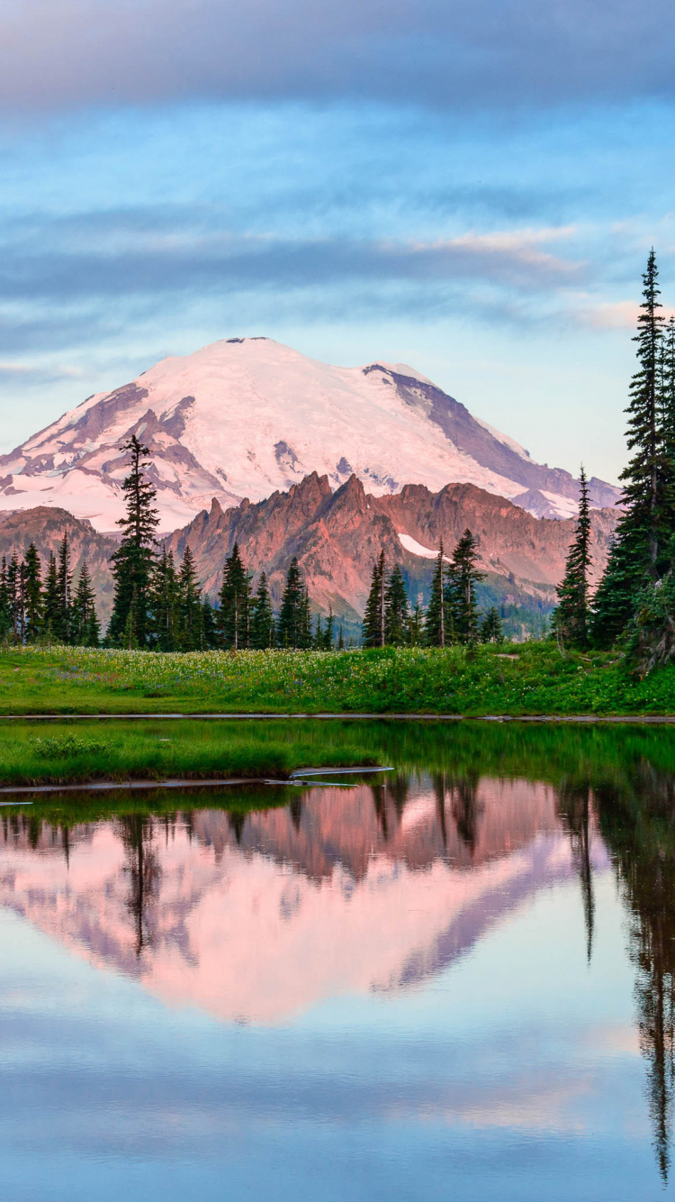 Grüne Wiese in Der Nähe Von See Und Berg Tagsüber. Wallpaper in 750x1334 Resolution